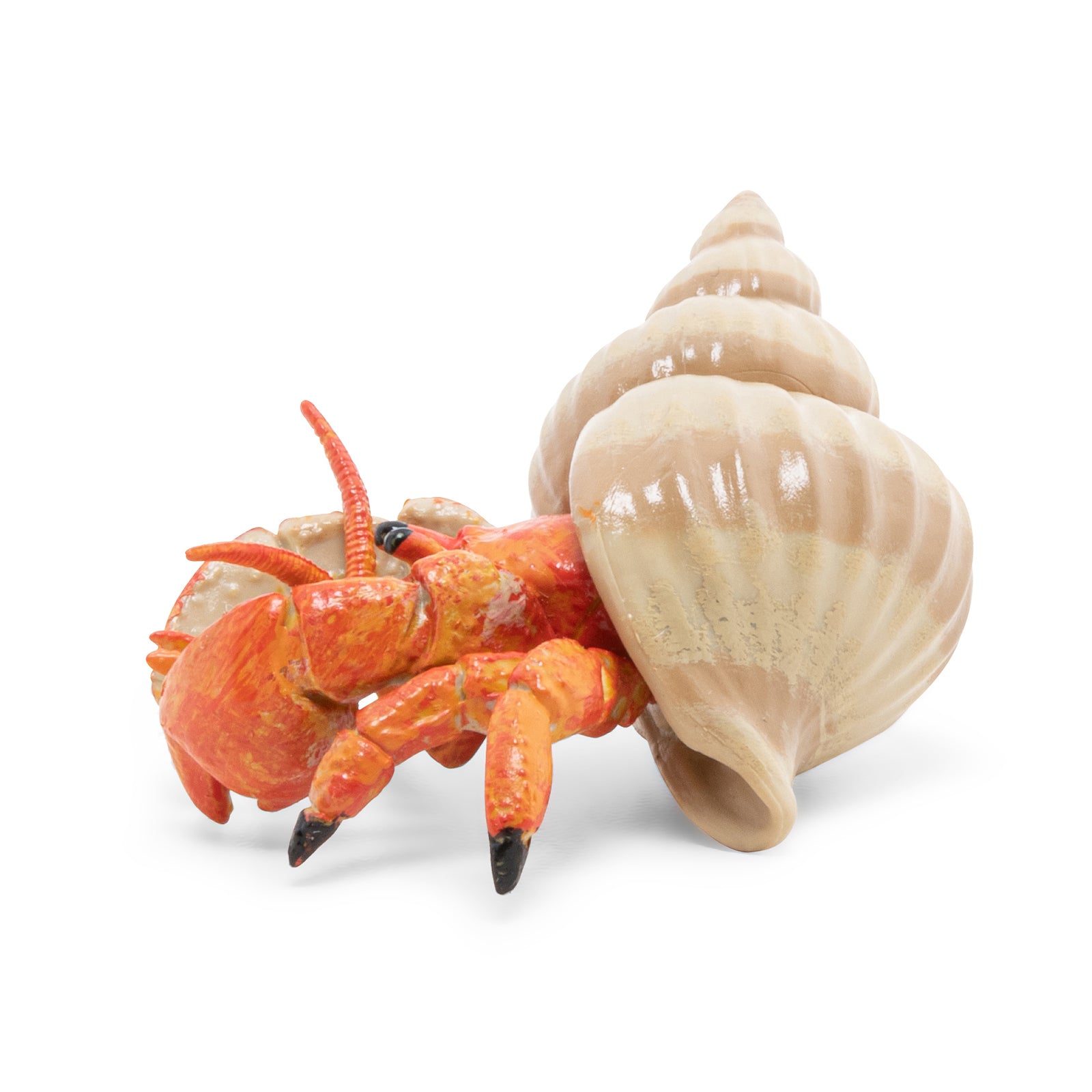papo-marine-world-einsiedlerkrebs-figur-meerestier image 3