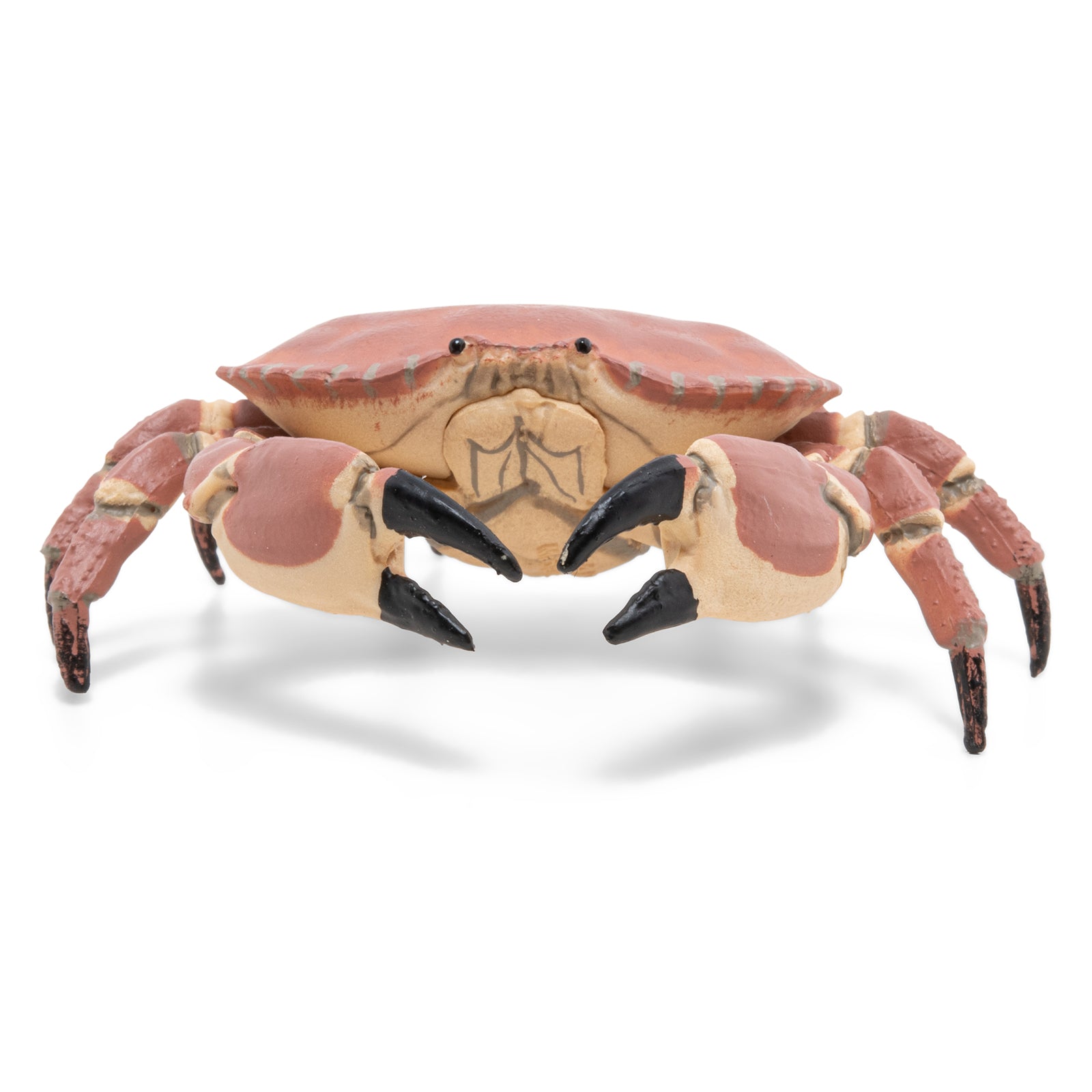 papo-marine-world-krabbenfigur-mit-scheren image 4