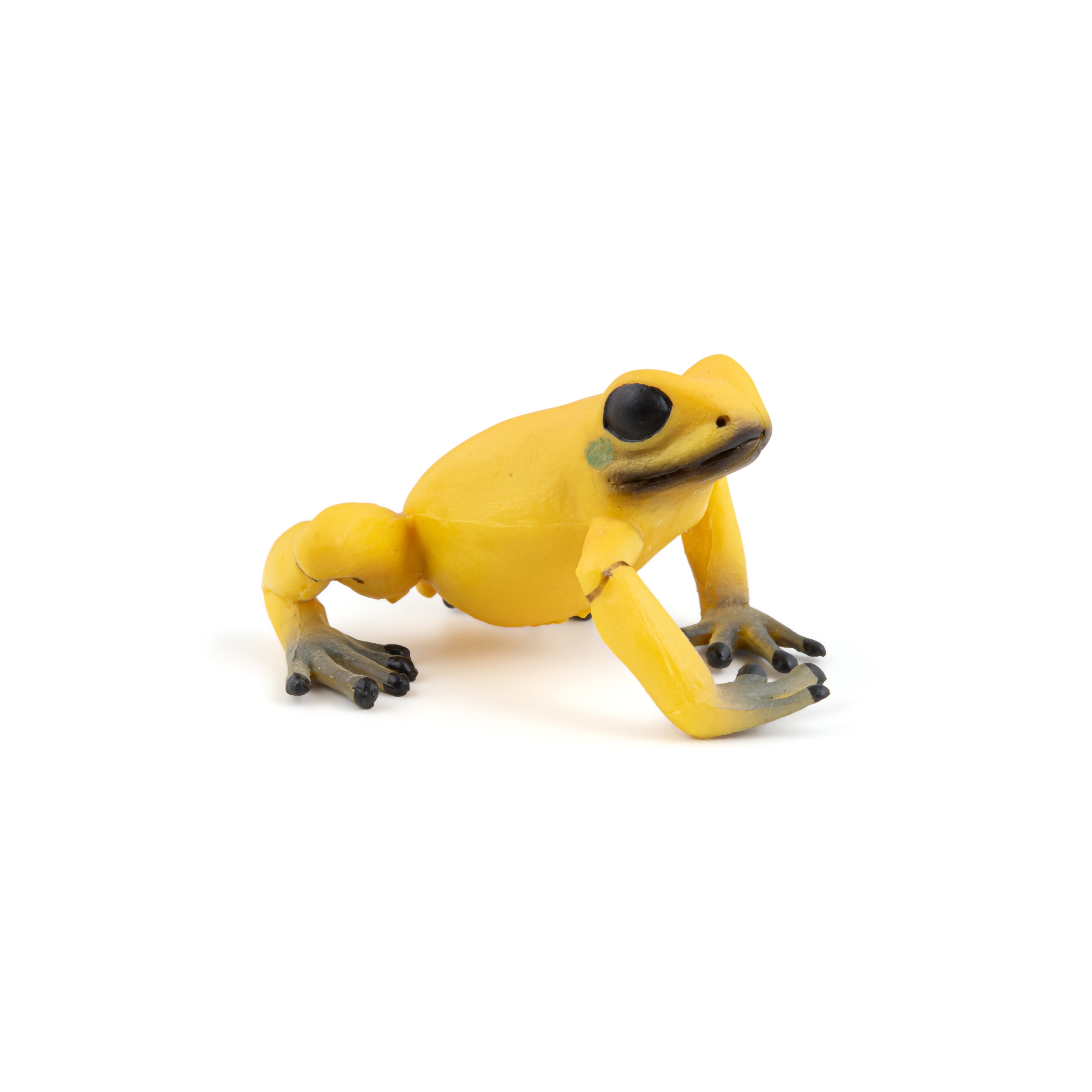 papo-wildlife-gelber-quatorialfrosch-figur-giftig-gelb image 5