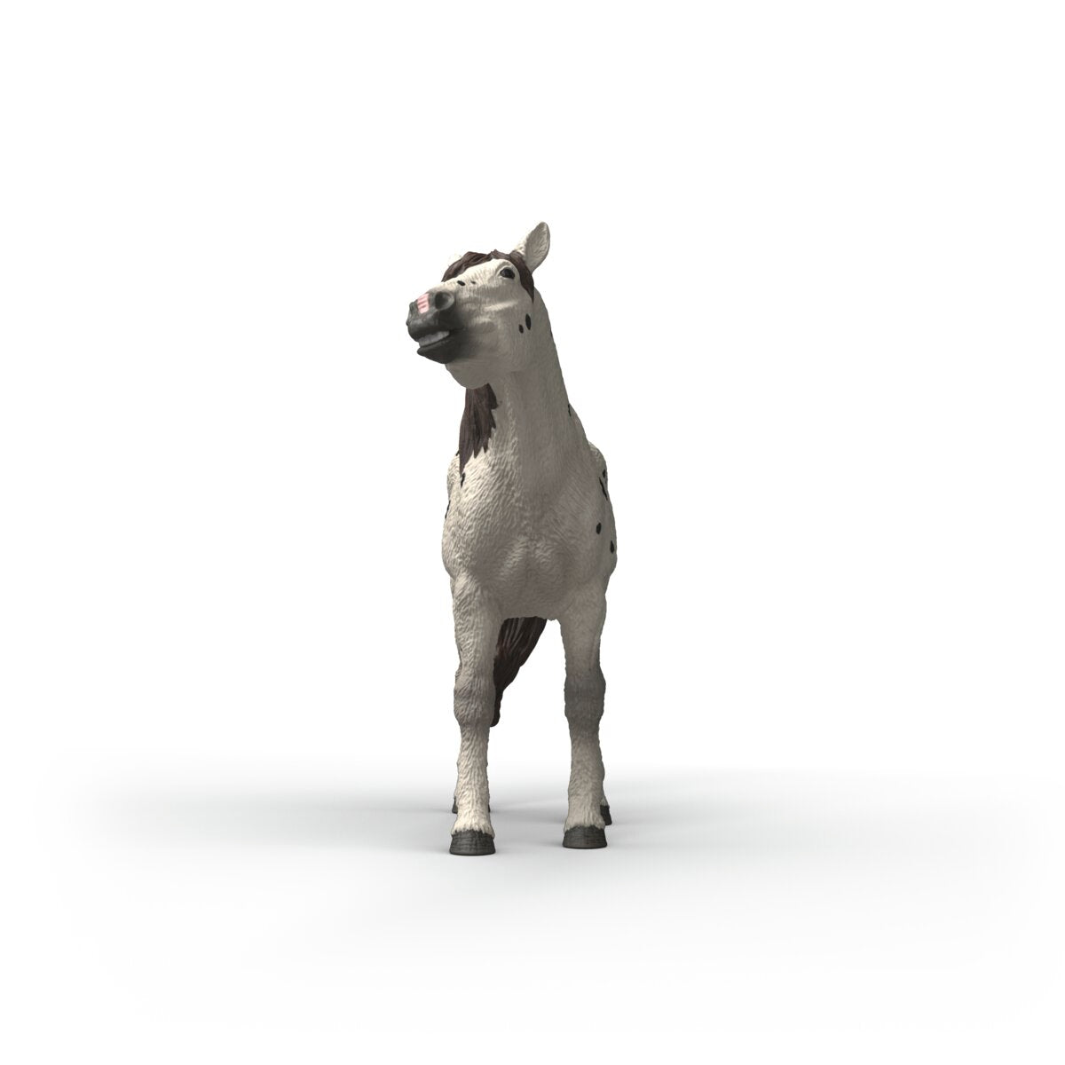 schleich-horse-club-knabstrupper-wallach-pferdefigur-14916 image 5