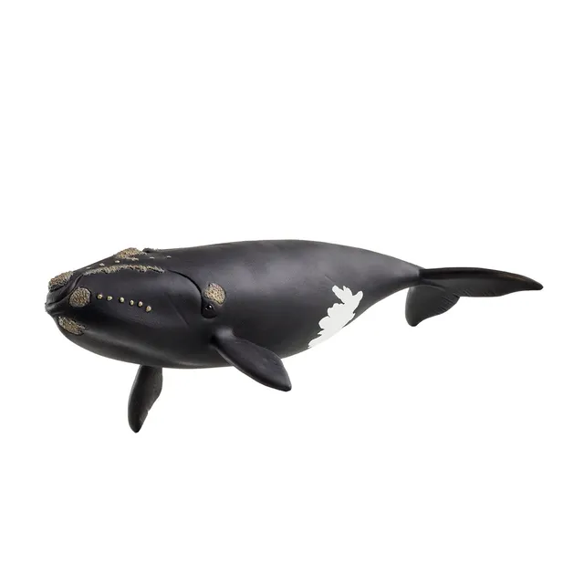 schleich-wild-life-14878-glattwal-spielfigur-wal image 1
