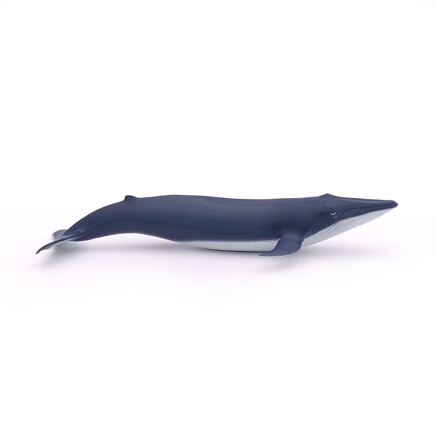 papo-marine-world-baby-blauwal-figur-meer image 3