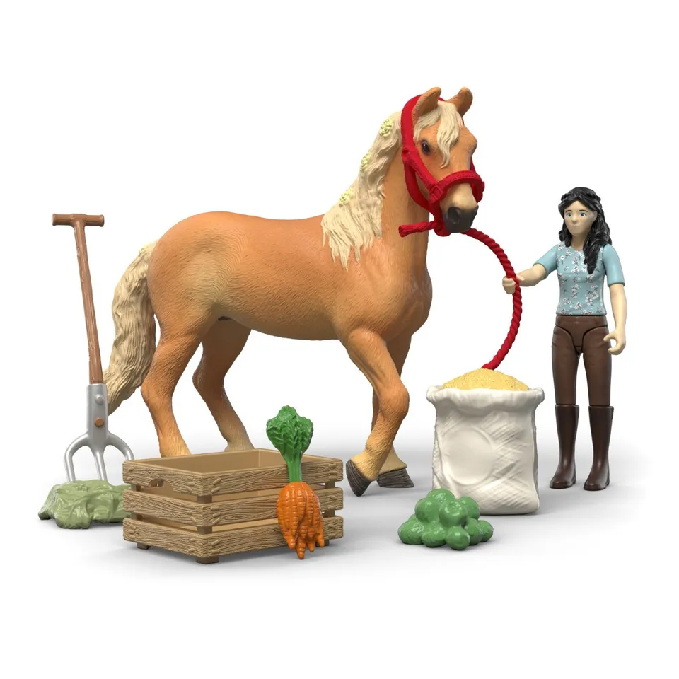schleich-horse-club-42797-emilys-pflege-set-pferdespielzeug image 1