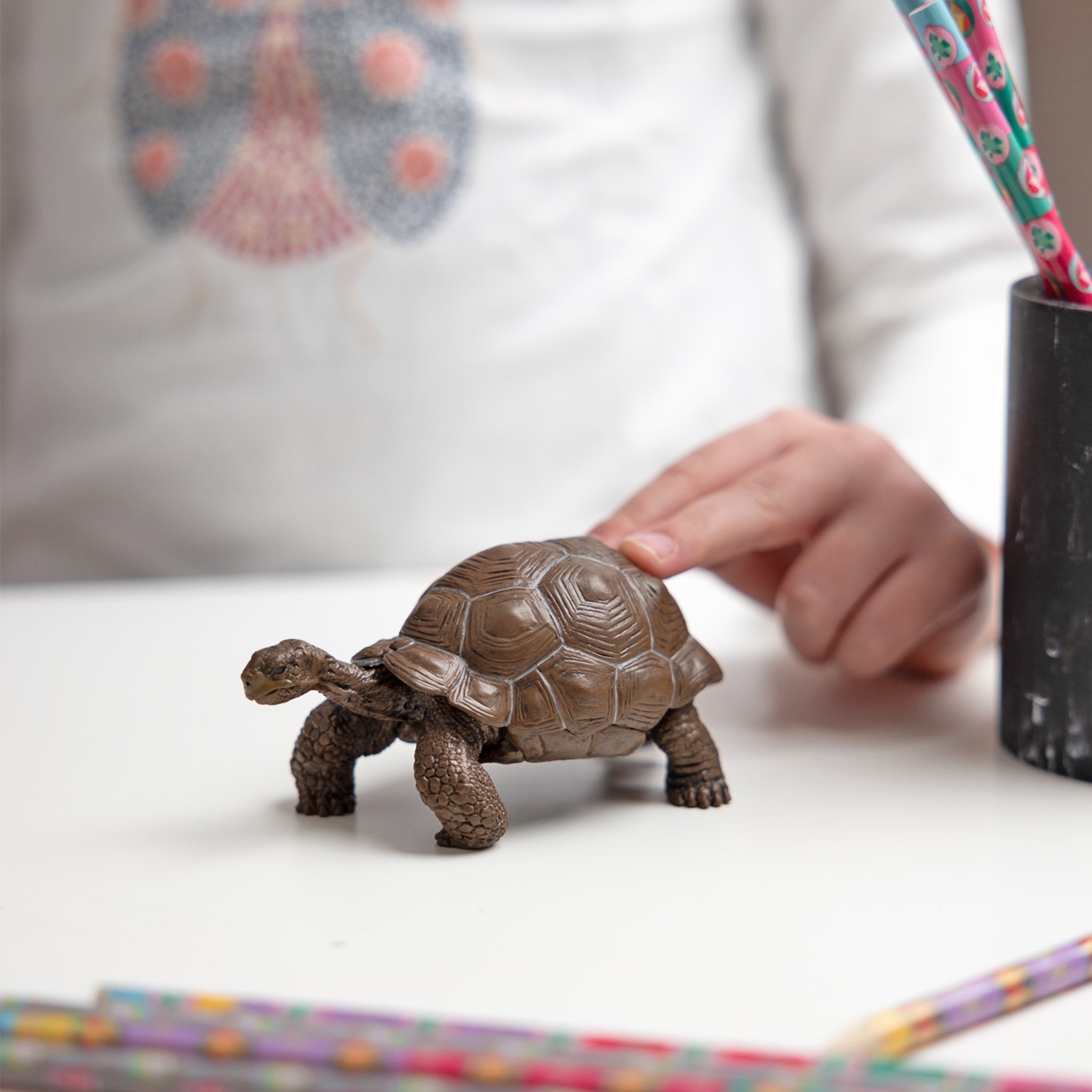 papo-wildlife-galapagos-schildkr-te-reptil-figur image 2