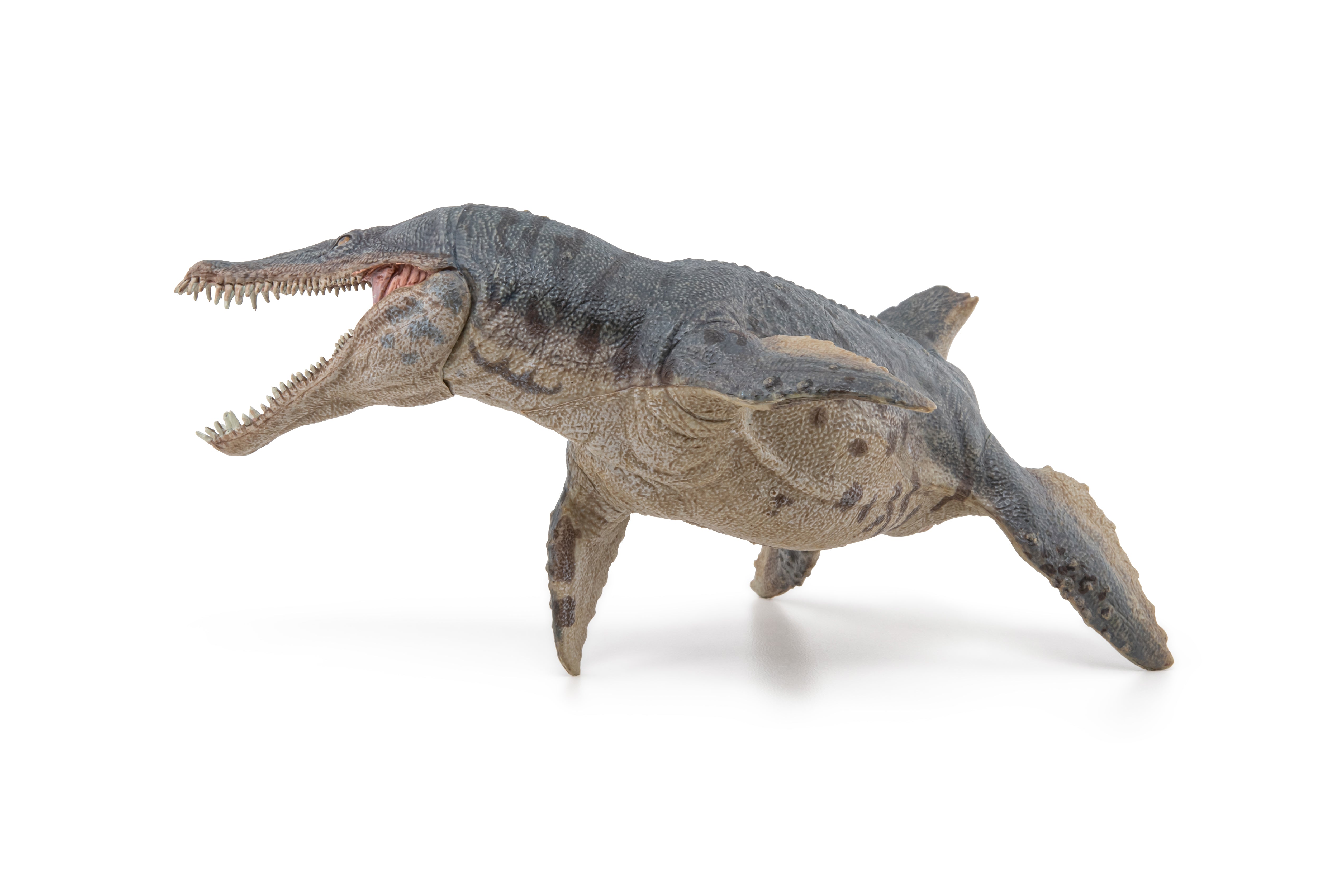 papo-dinosaurs-kronosaurus-figur-meeresreptil image 6