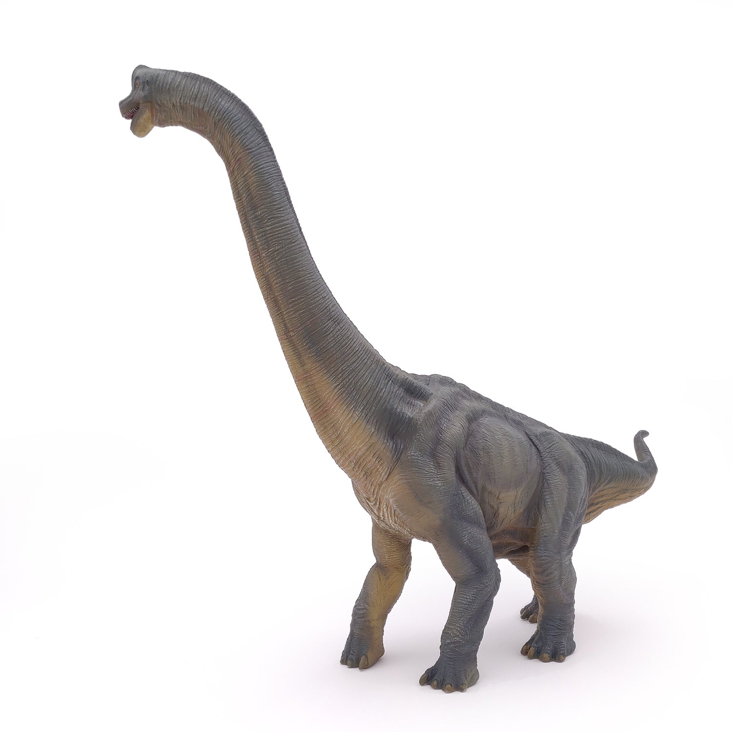 papo-dinosaurs-brachiosaurus-figur-pflanzenfresser image 4