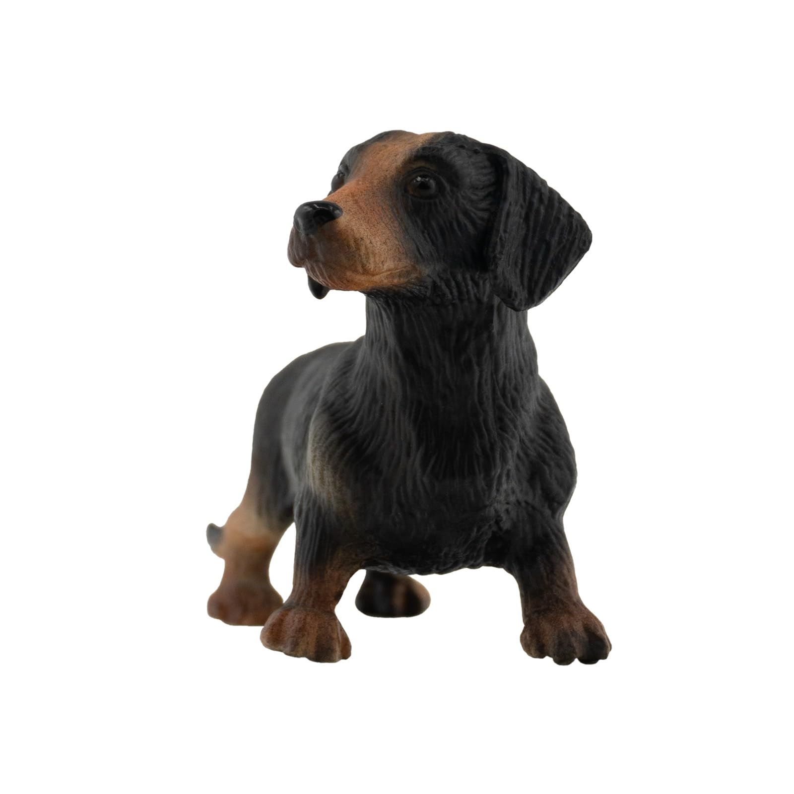 bullyland-pets-kurzhaar-dackel-apollo-65441-hundefigur-7-4-cm image 3