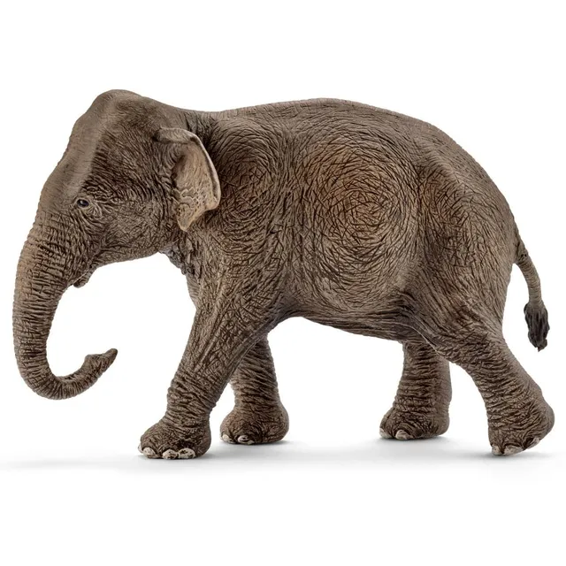 schleich-wild-life-asiatische-elefantenkuh-tierfigur-17001 image 1
