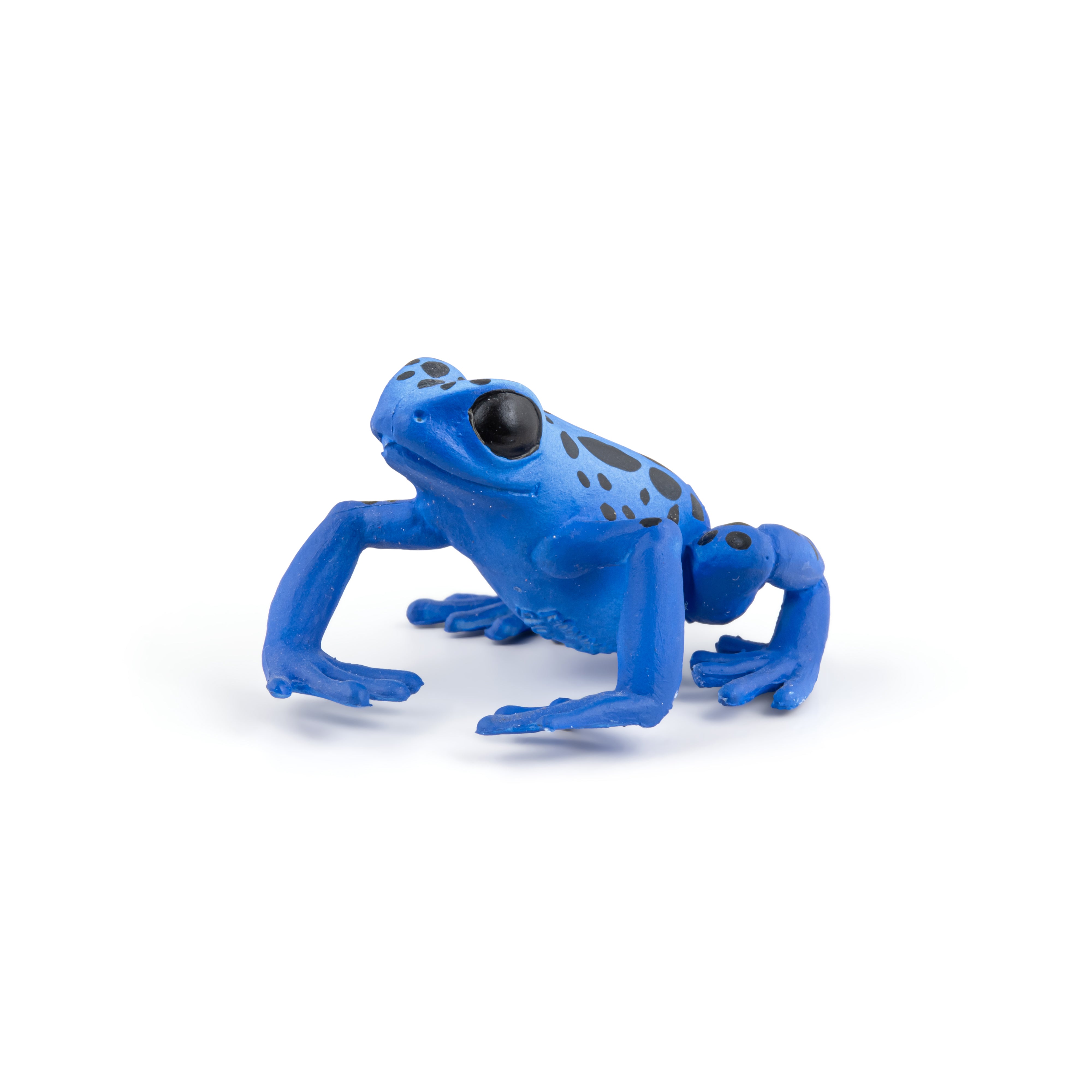 papo-wildlife-blauer-quatorialfrosch-figur-regenwald image 1