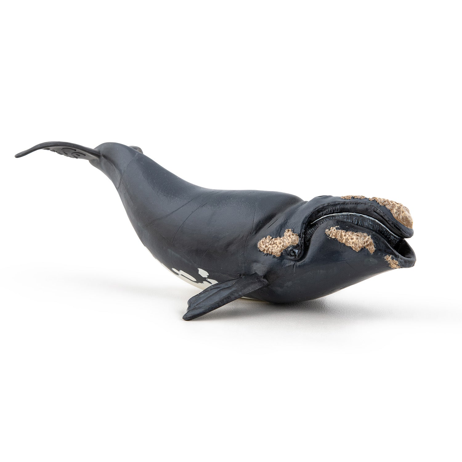 papo-marine-world-glattwal-figur-meerestier image 4