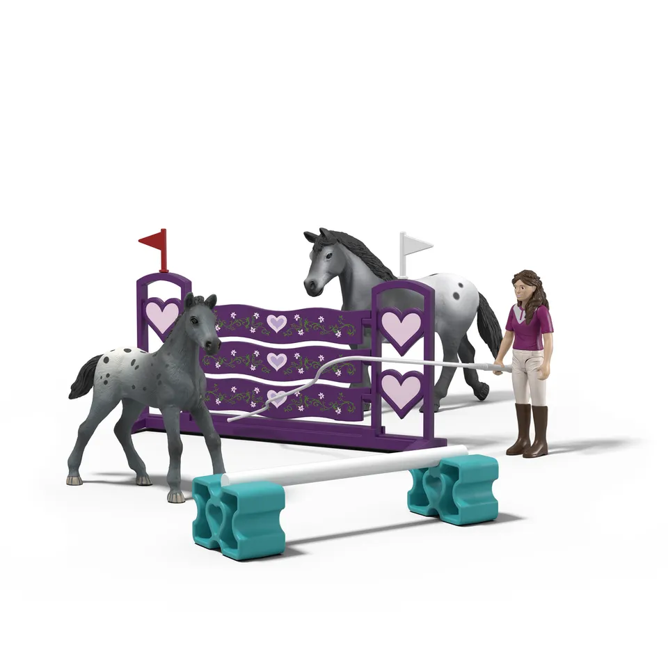 schleich-horse-club-42776-lisas-turniertraining-spielset-mit-pferd image 1