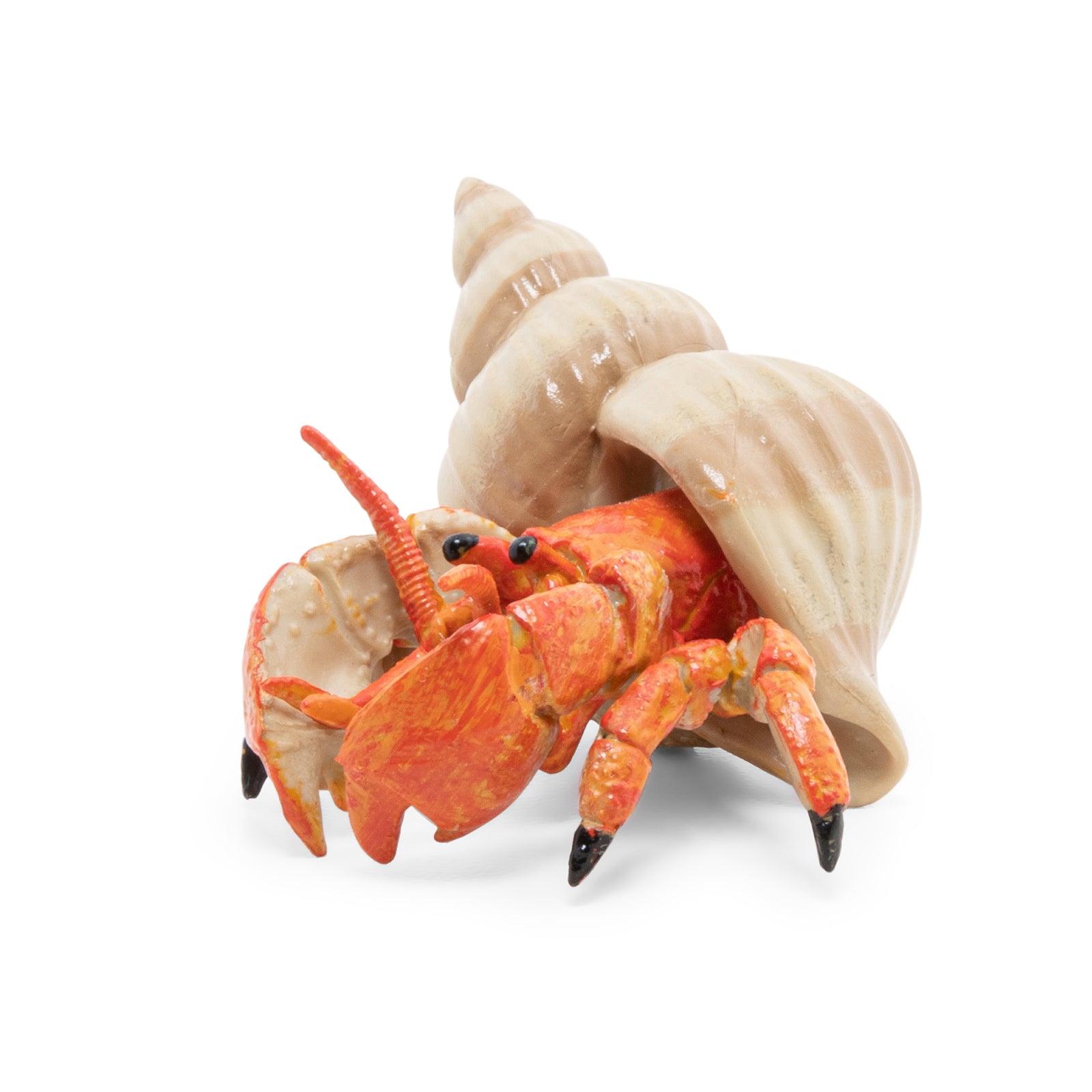 papo-marine-world-einsiedlerkrebs-figur-meerestier image 5