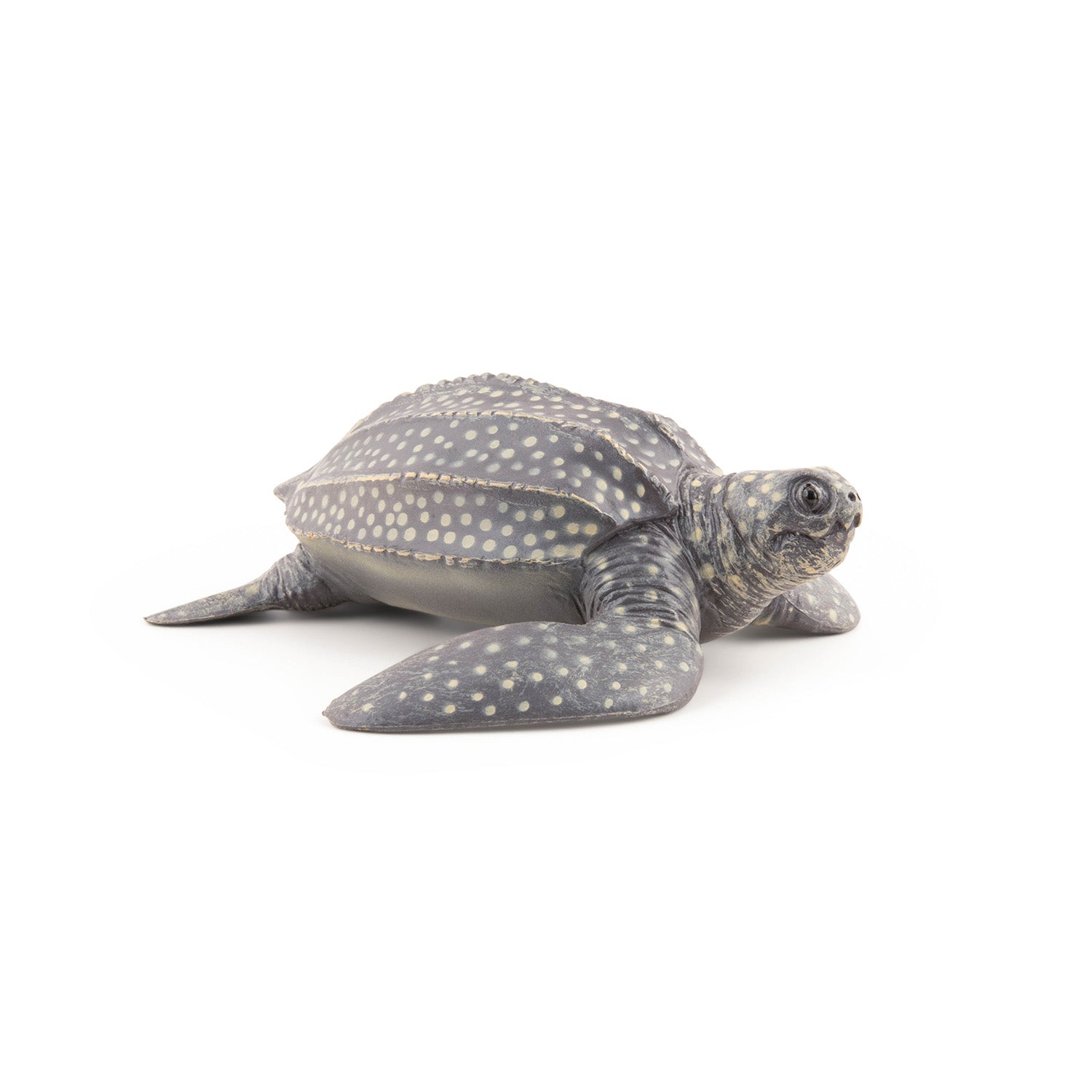 papo-marine-world-lederschildkr-tenfigur-meeresschildkr-te image 4