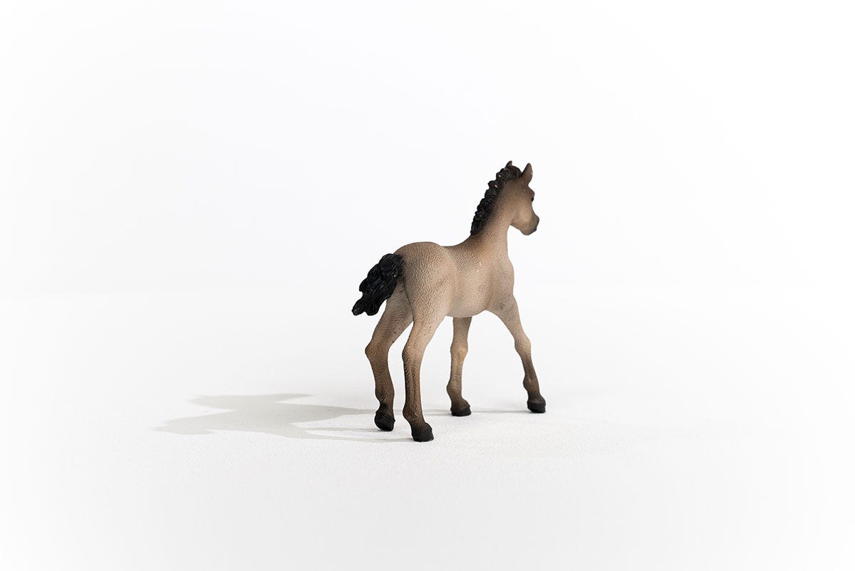 schleich-horse-club-criollo-definitivo-fohlen-pferdefigur-13949 image 2