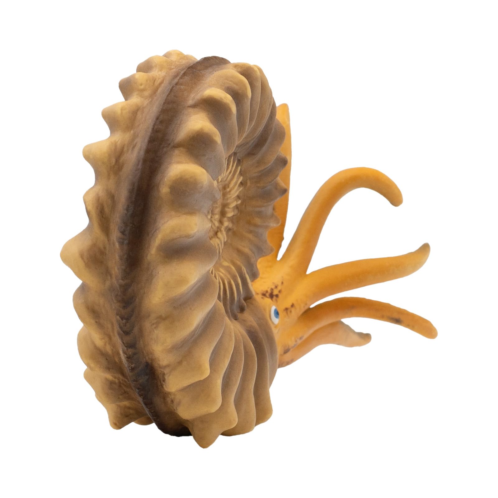 bullyland-58400-museum-line-ammonit-spielfigur-urzeit image 4
