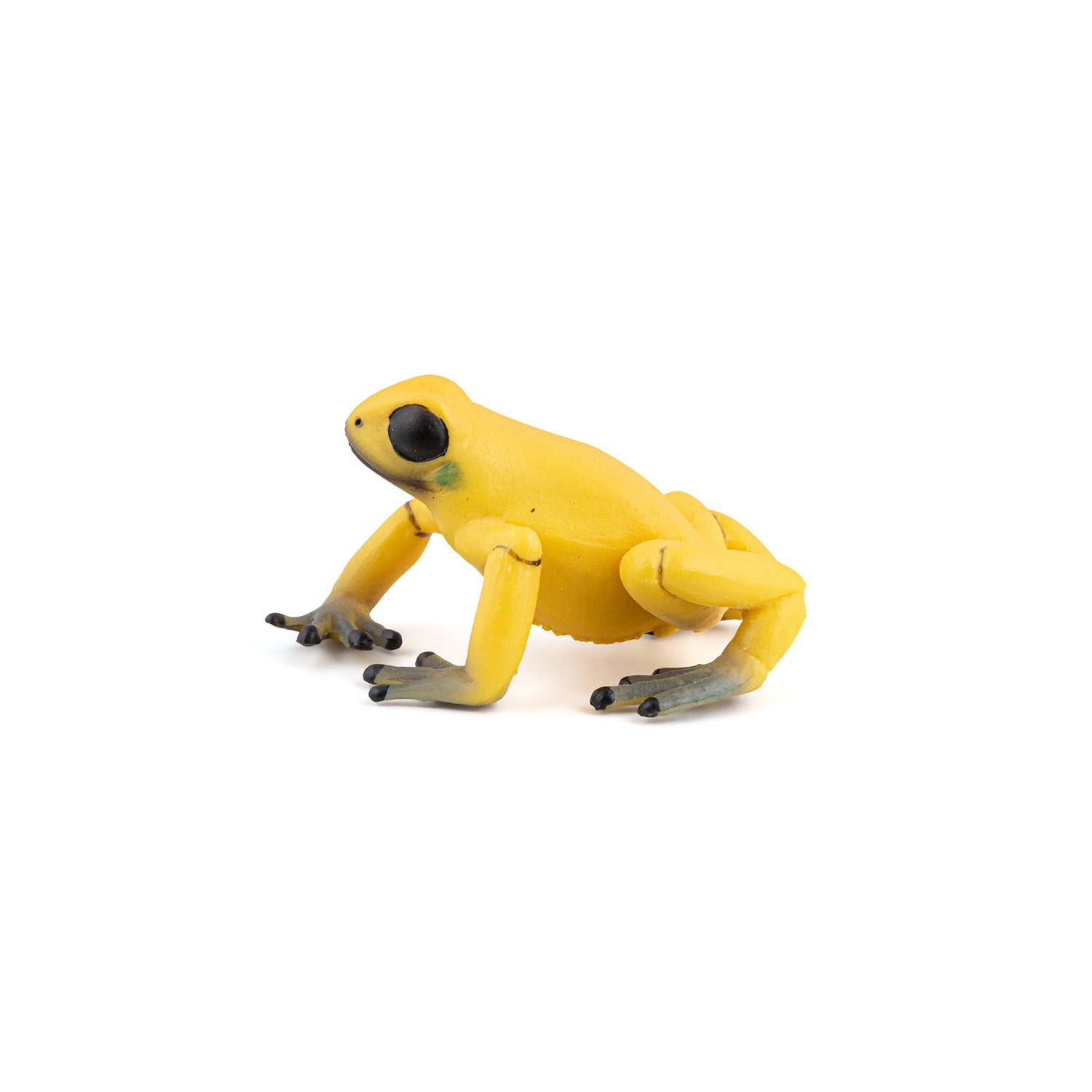 papo-wildlife-gelber-quatorialfrosch-figur-giftig-gelb image 2