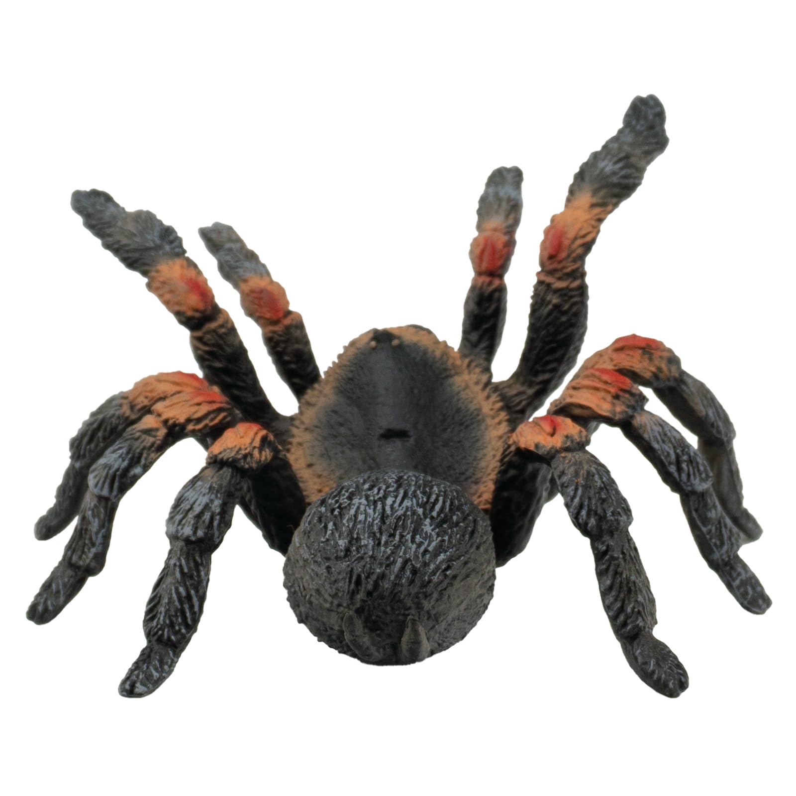 bullyland-crawlers-rotknie-vogelspinne-tierfigur-11-5-cm image 4
