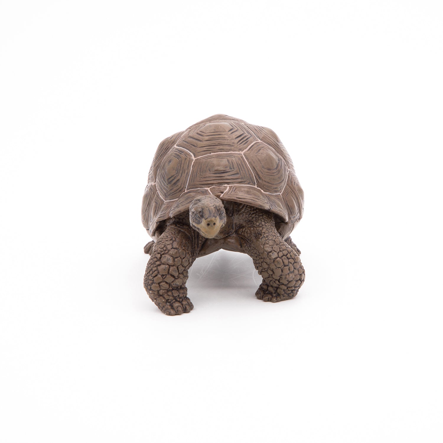 papo-wildlife-galapagos-schildkr-te-reptil-figur image 7