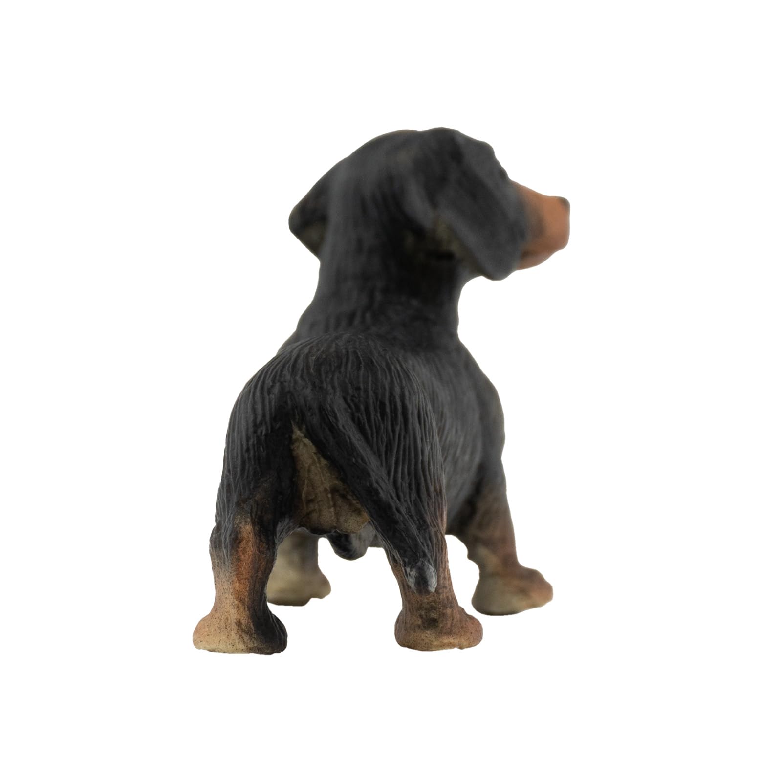 bullyland-pets-kurzhaar-dackel-apollo-65441-hundefigur-7-4-cm image 4