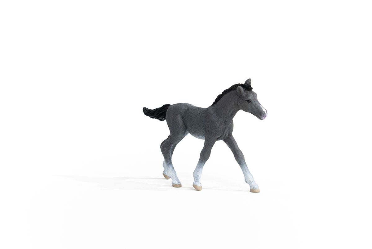 schleich-horse-club-trakehner-fohlen-pferdefigur-schimmel image 3