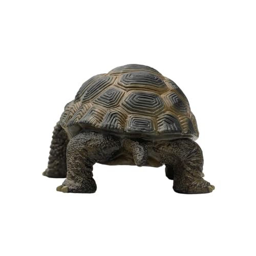 bullyland-crawlers-63553-landschildkr-te-tierfigur-13-6-cm image 8