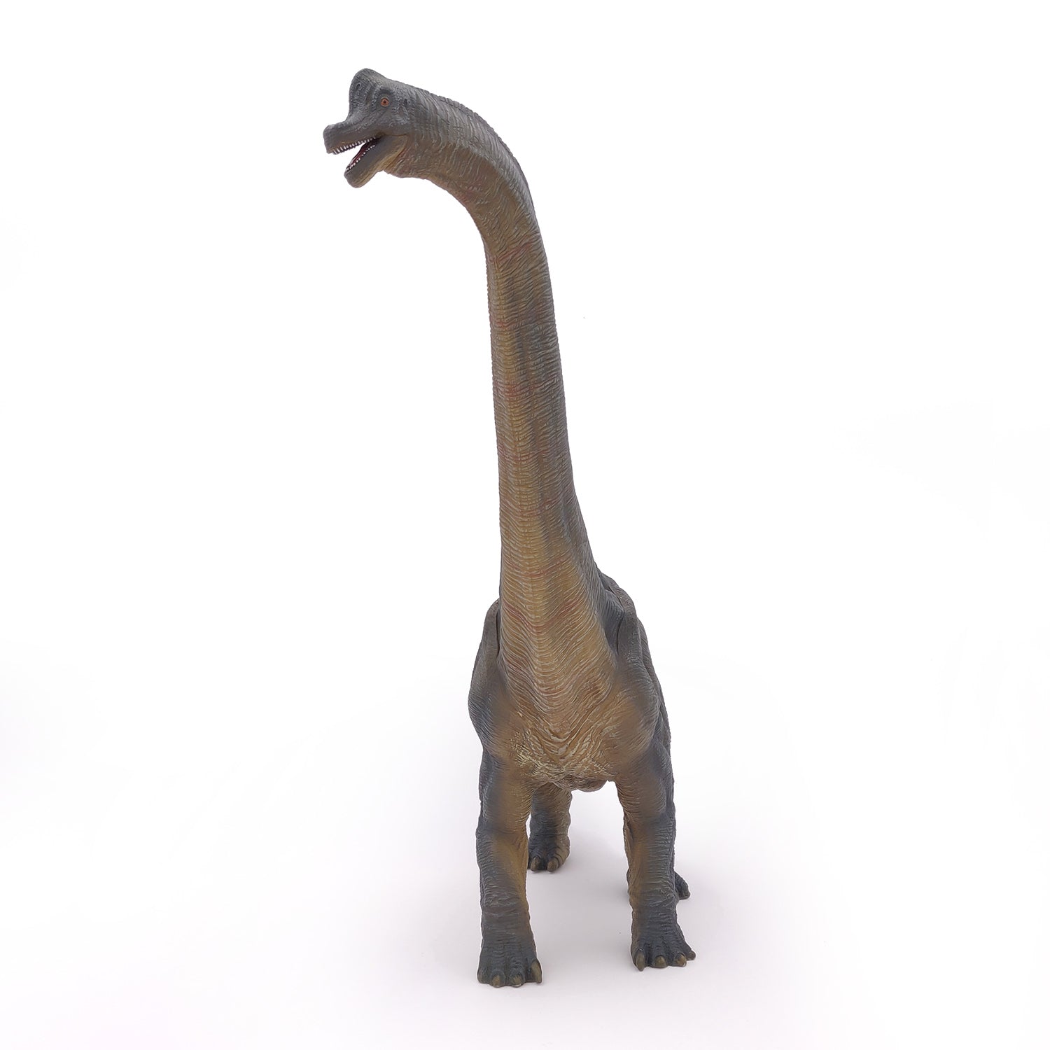 papo-dinosaurs-brachiosaurus-figur-pflanzenfresser image 3