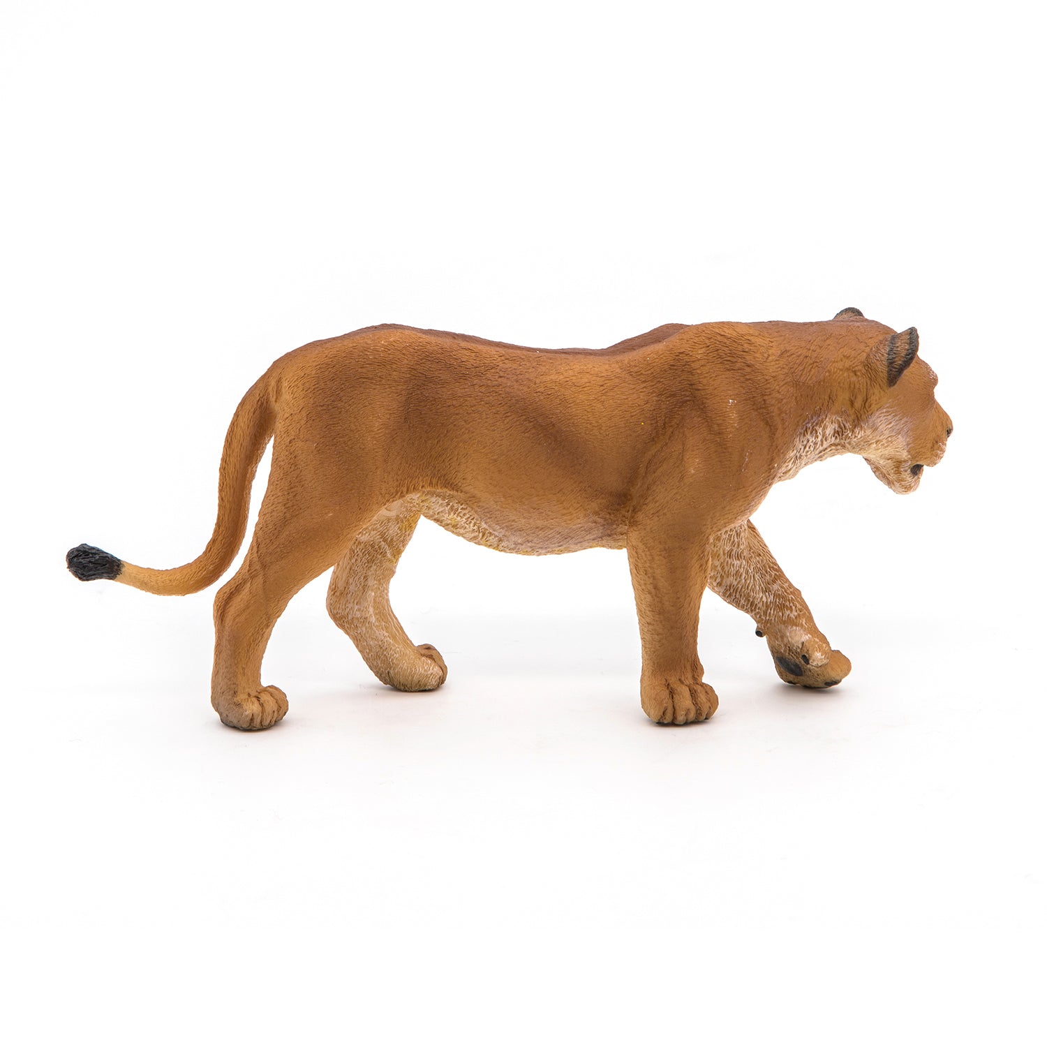 papo-wildlife-l-win-figur-savanne-raubtier image 6