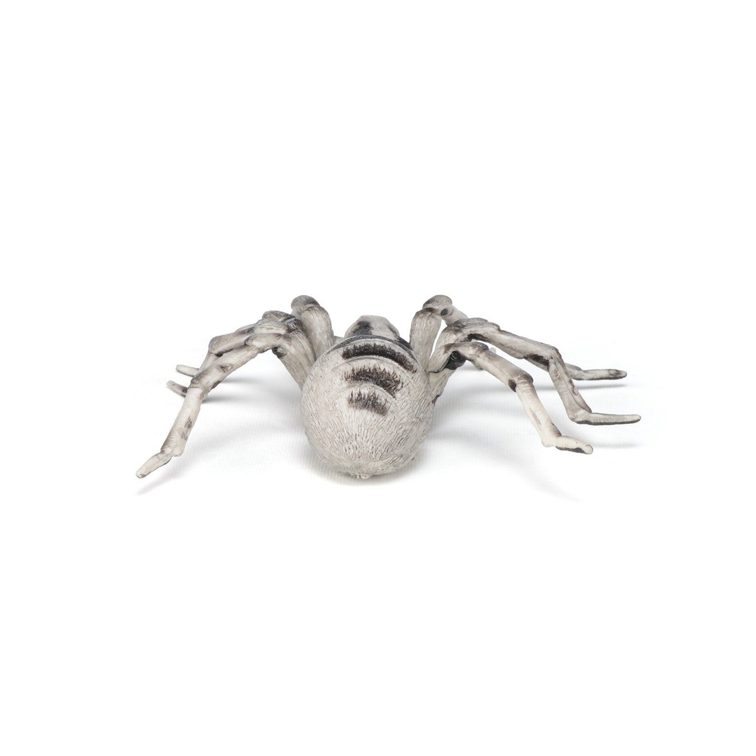 papo-wildlife-tarantel-figur-vogelspinne-spinnentier image 4