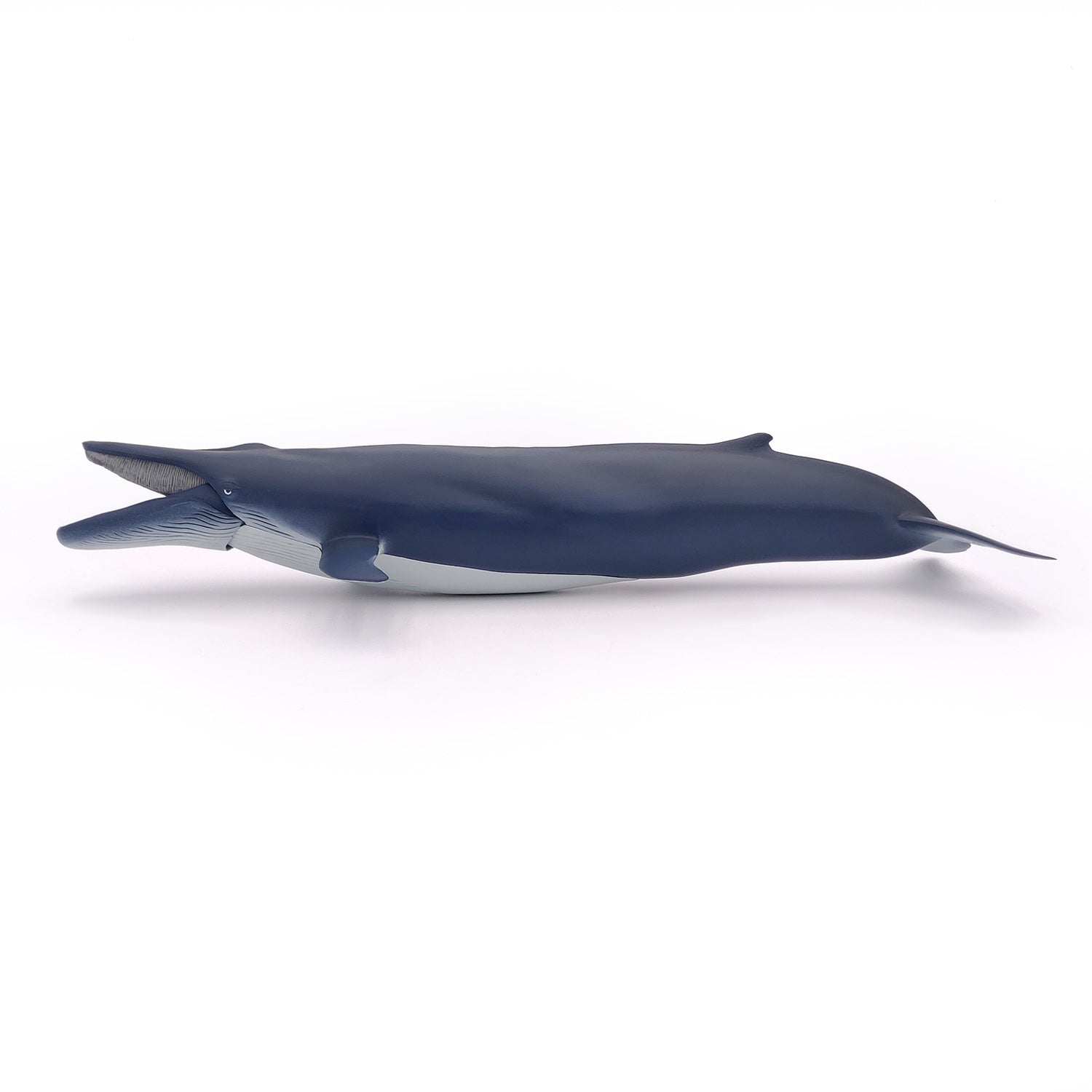 papo-marine-world-blauwal-figur-meerestier image 3
