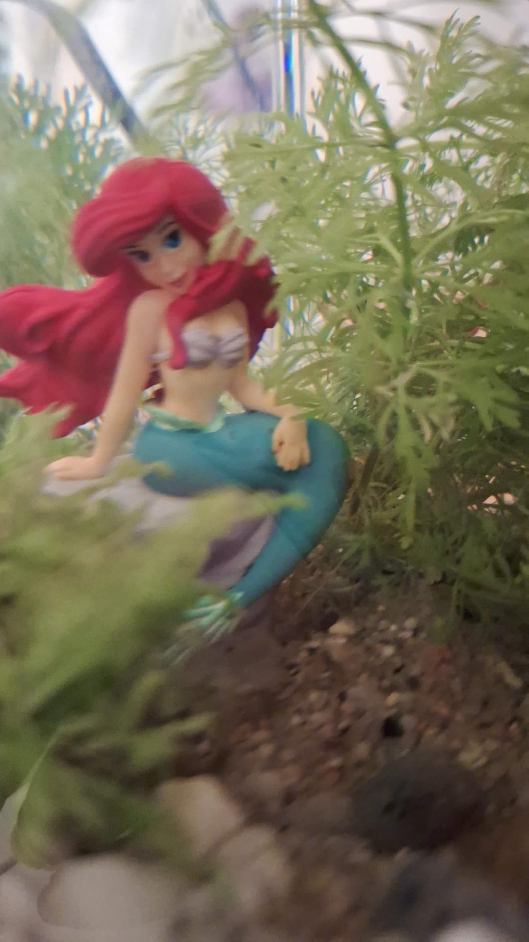 Schöne Flosse