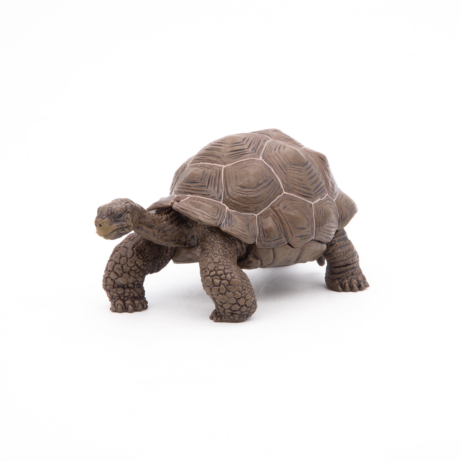 papo-wildlife-galapagos-schildkr-te-reptil-figur image 1