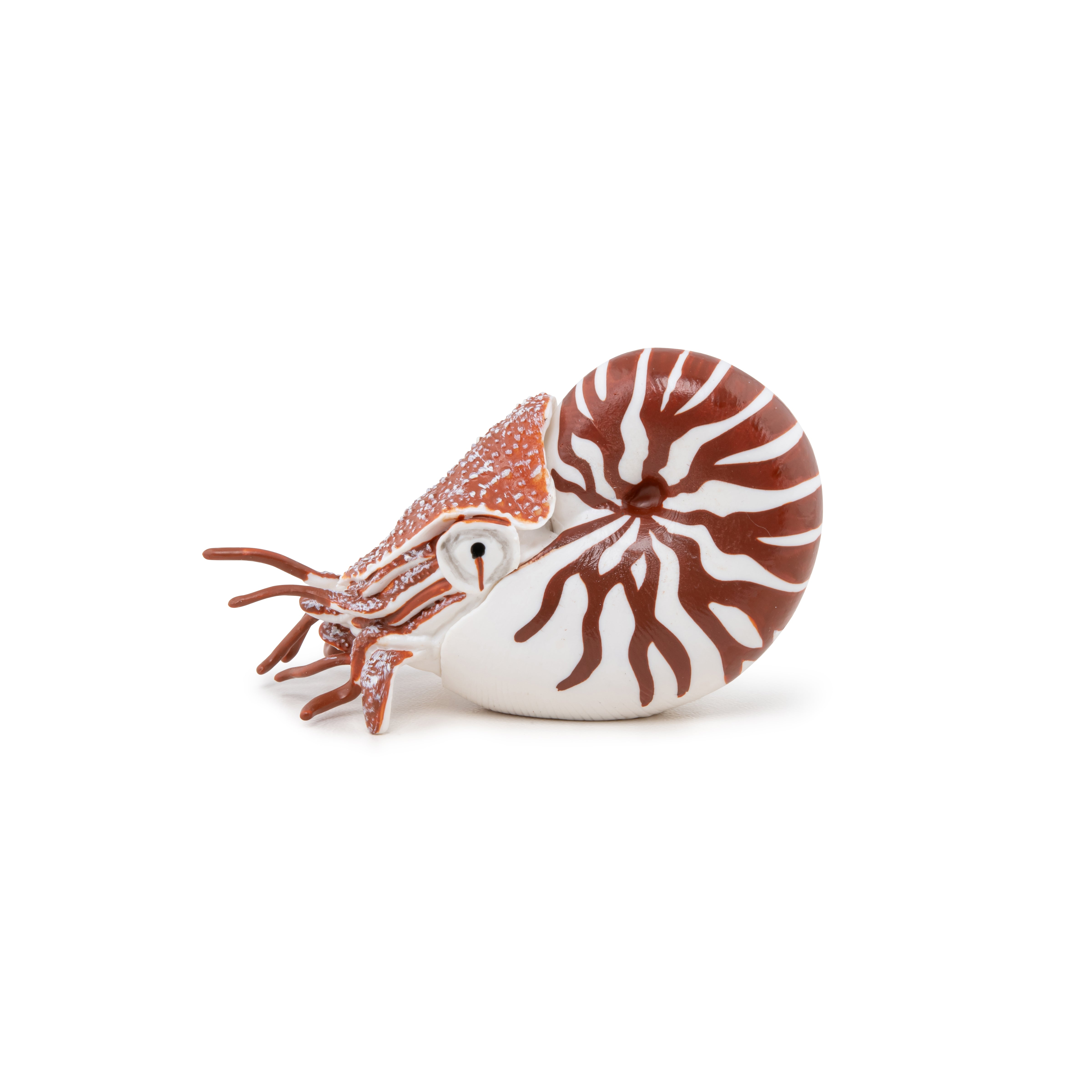 papo-marine-world-nautilus-meerestier-figur-spiralgeh-use image 2