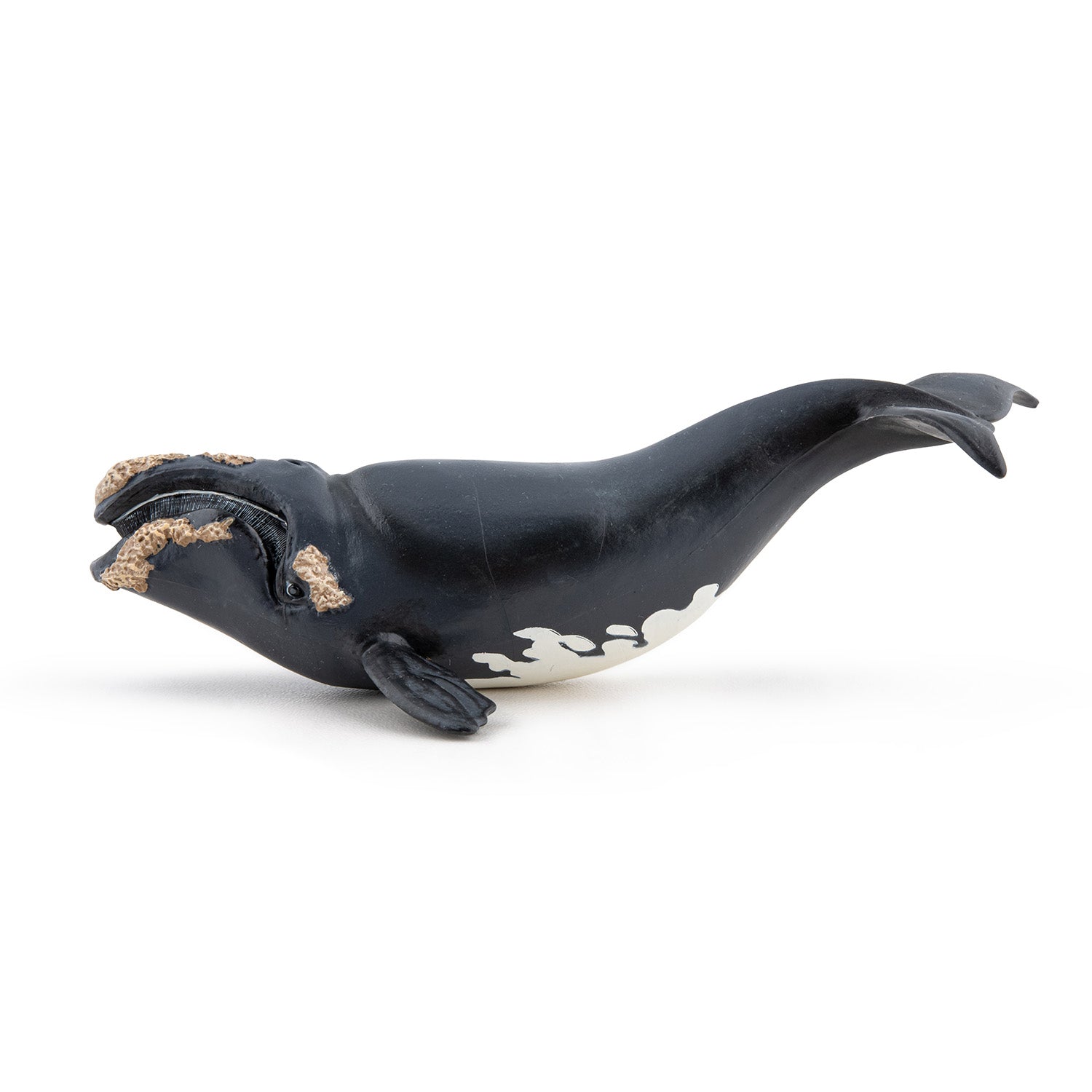 papo-marine-world-glattwal-figur-meerestier image 2