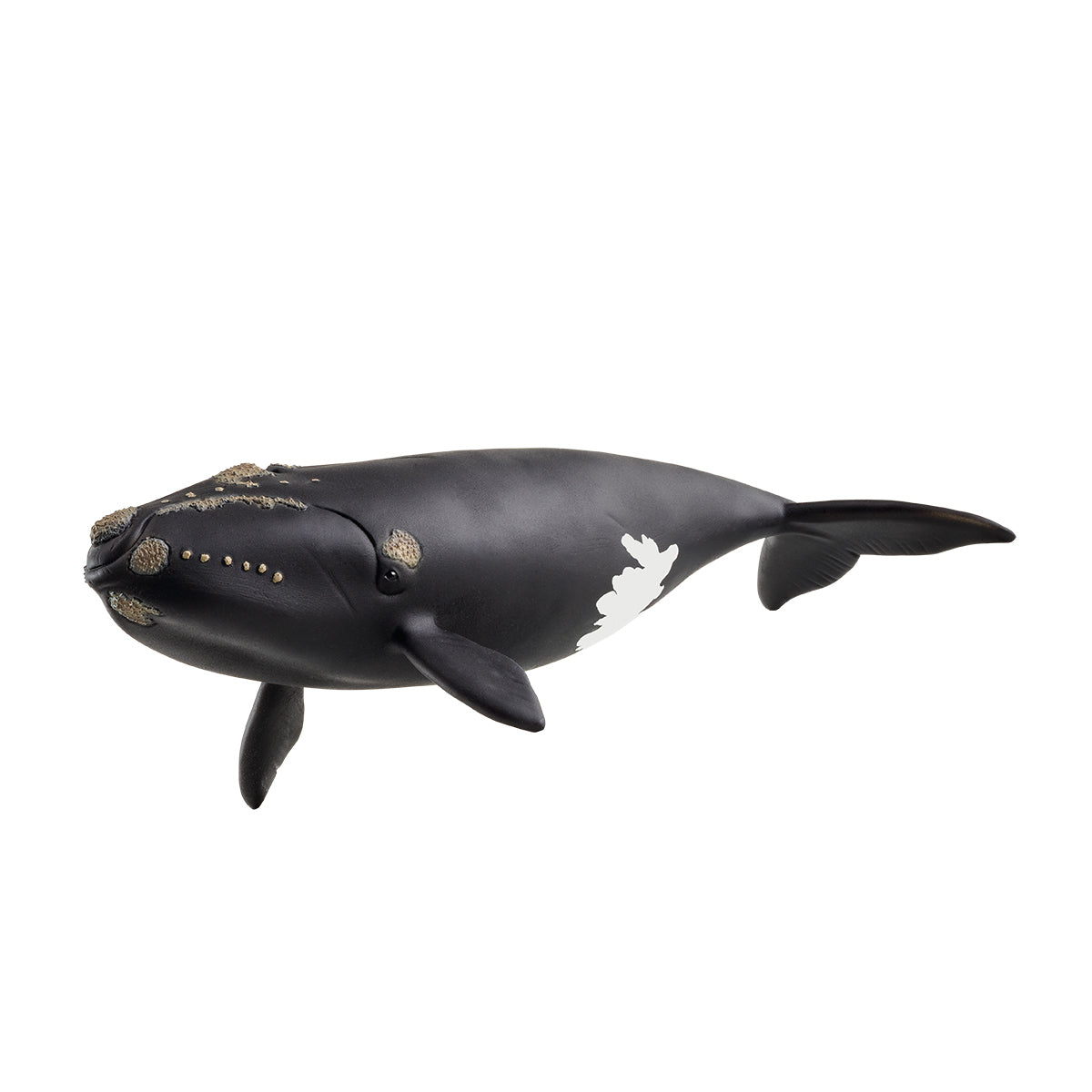 schleich-wild-life-nordatlantischer-glattwal-meerestierfigur image 1