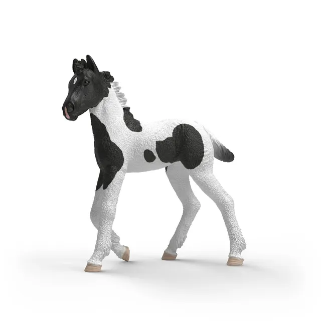 schleich-horse-club-sammelfohlen-rocky-81481-pferd-mit-poster image 1