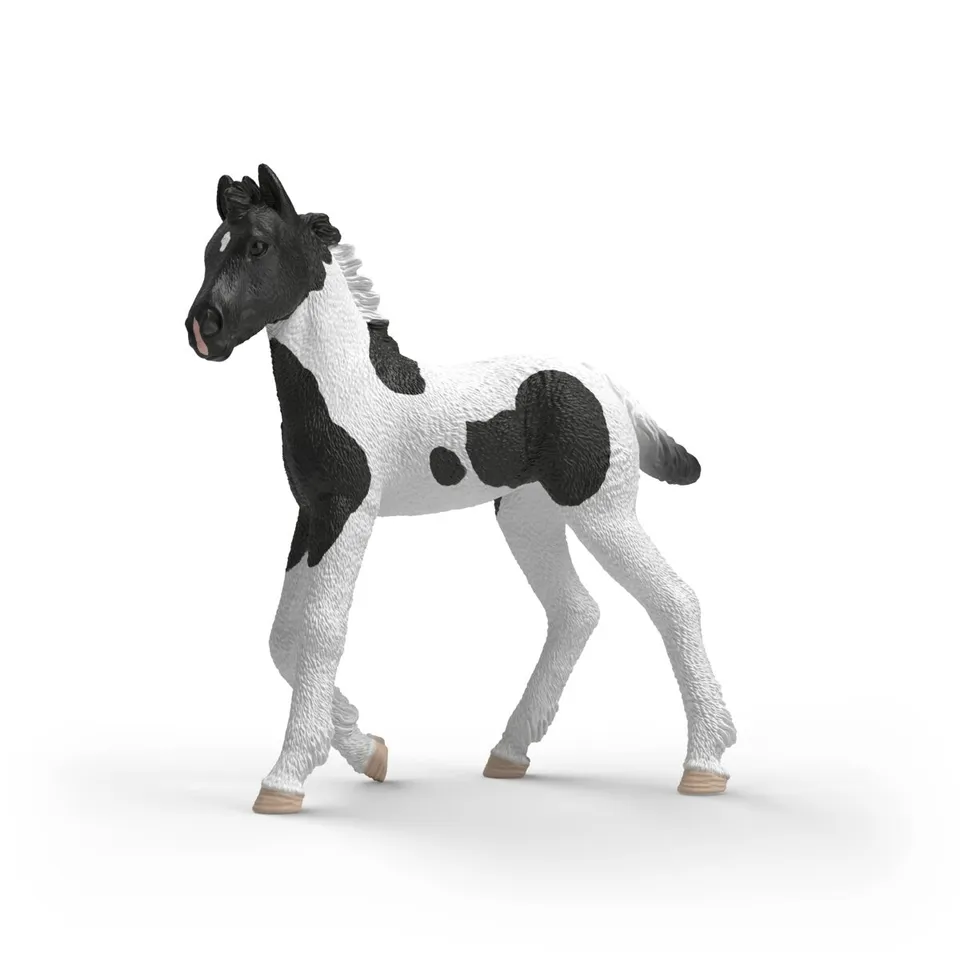 schleich-horse-club-sammelfohlen-rocky-81481-pferd-mit-poster image 1