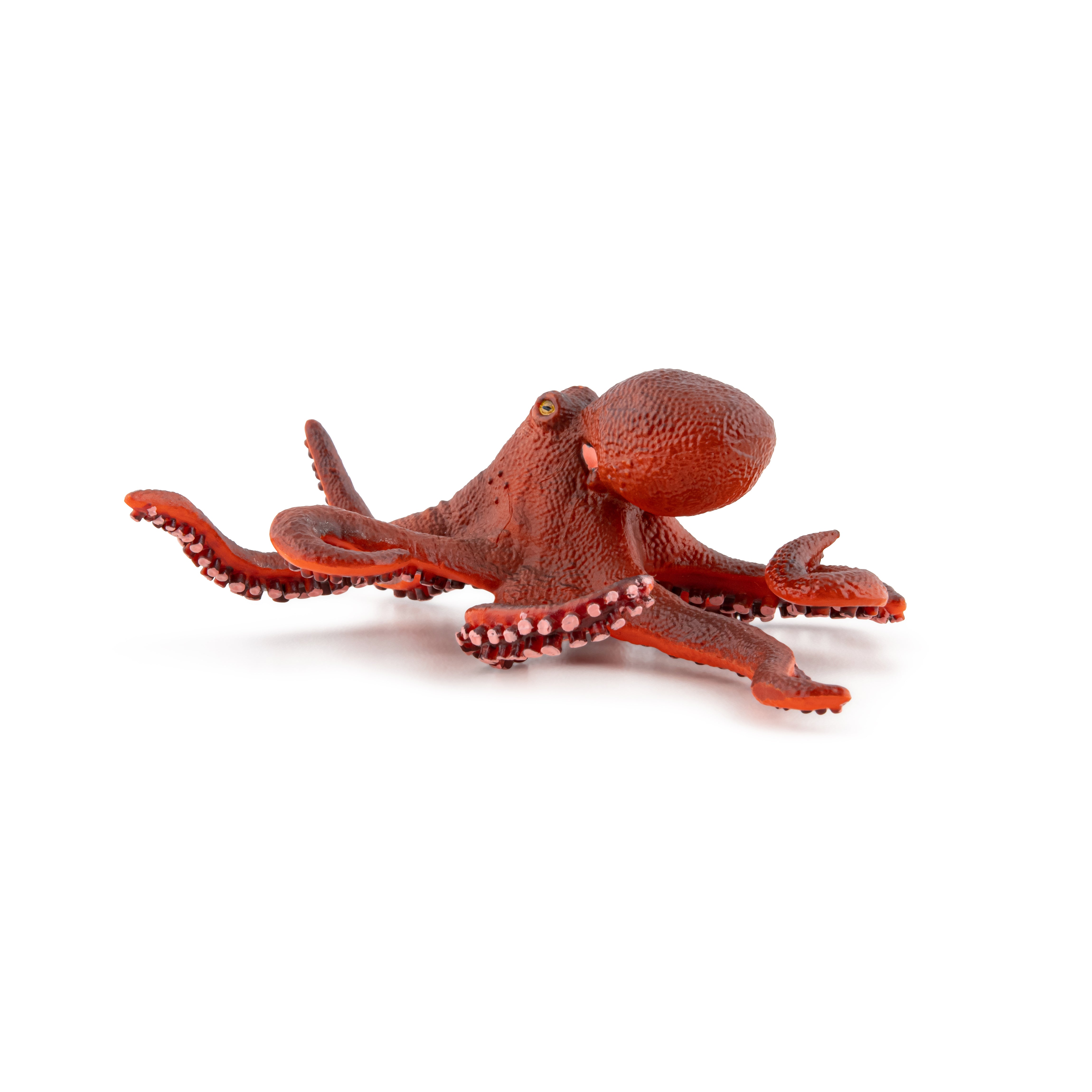 papo-marine-world-kleiner-oktopus-figur-meerestier image 5