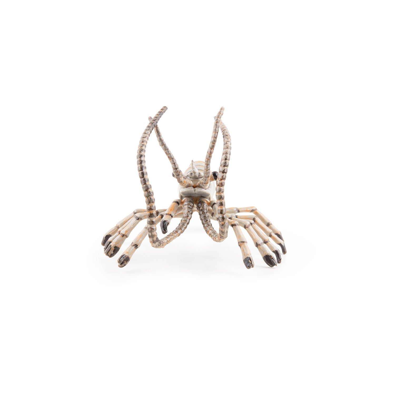 papo-marine-world-garnele-meerestier-figur-krebstier image 4
