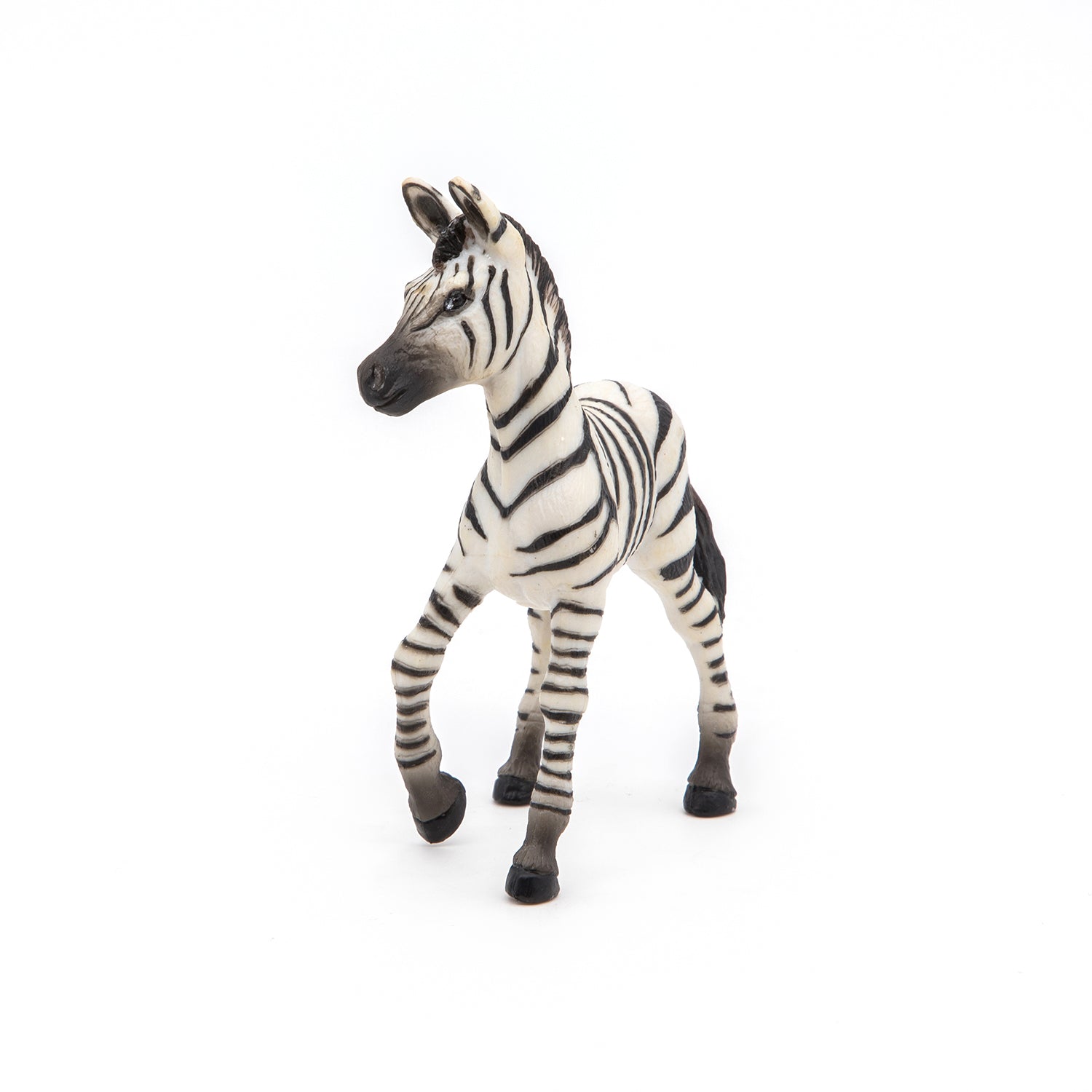 papo-wildlife-baby-zebra-figur-savanne-jungtier image 2
