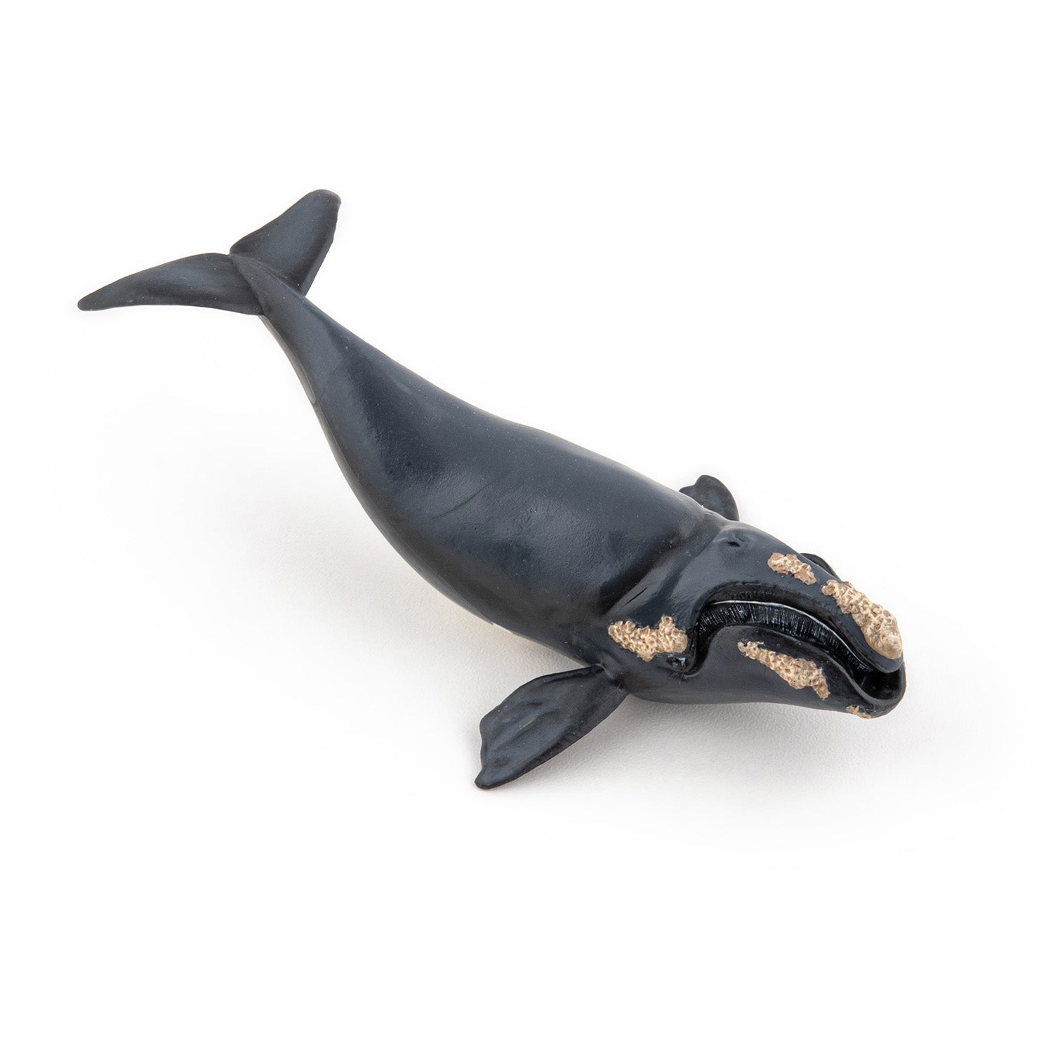 papo-marine-world-glattwal-figur-meerestier image 6