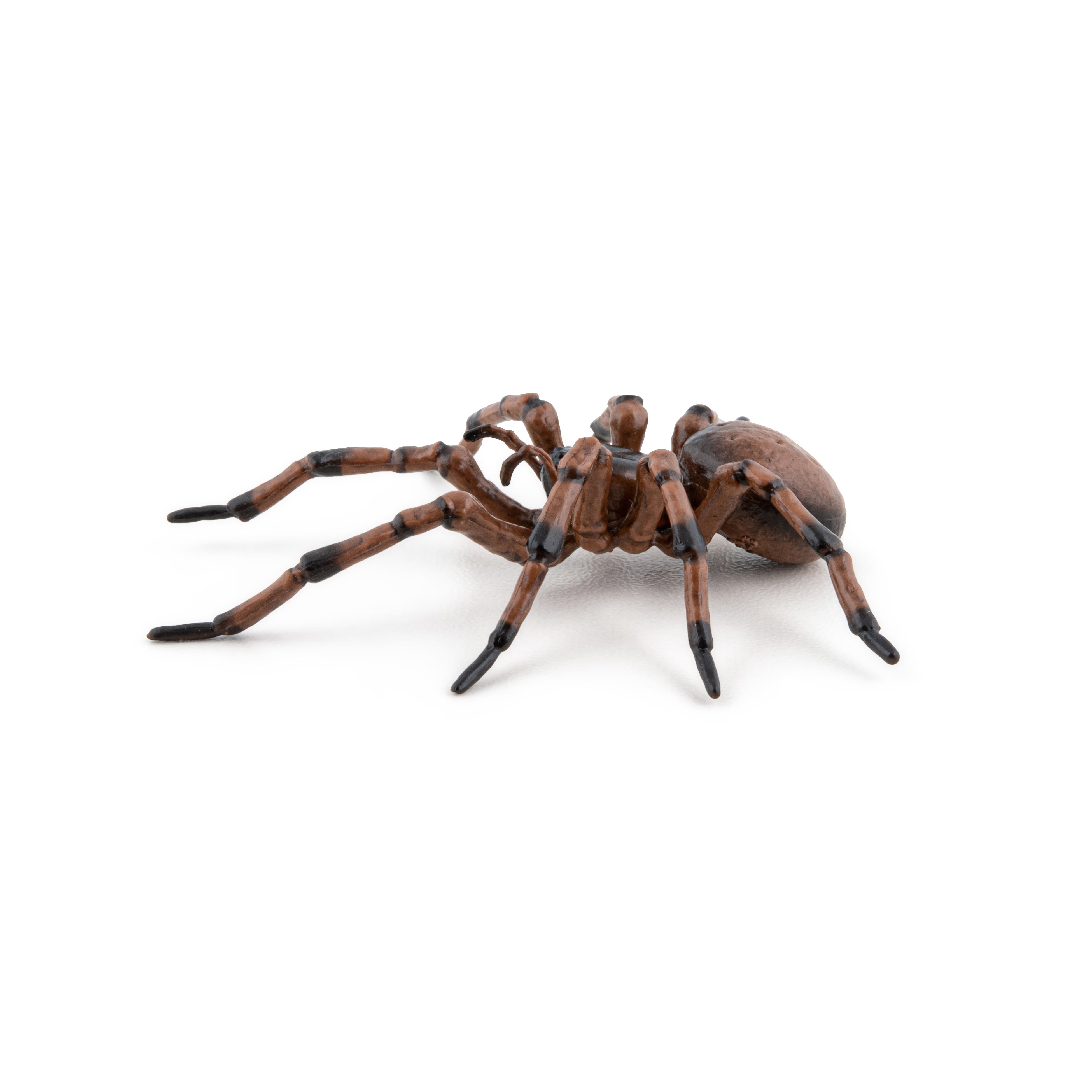 papo-garden-animals-gew-hnliche-spinnenfigur-hausspinne image 7
