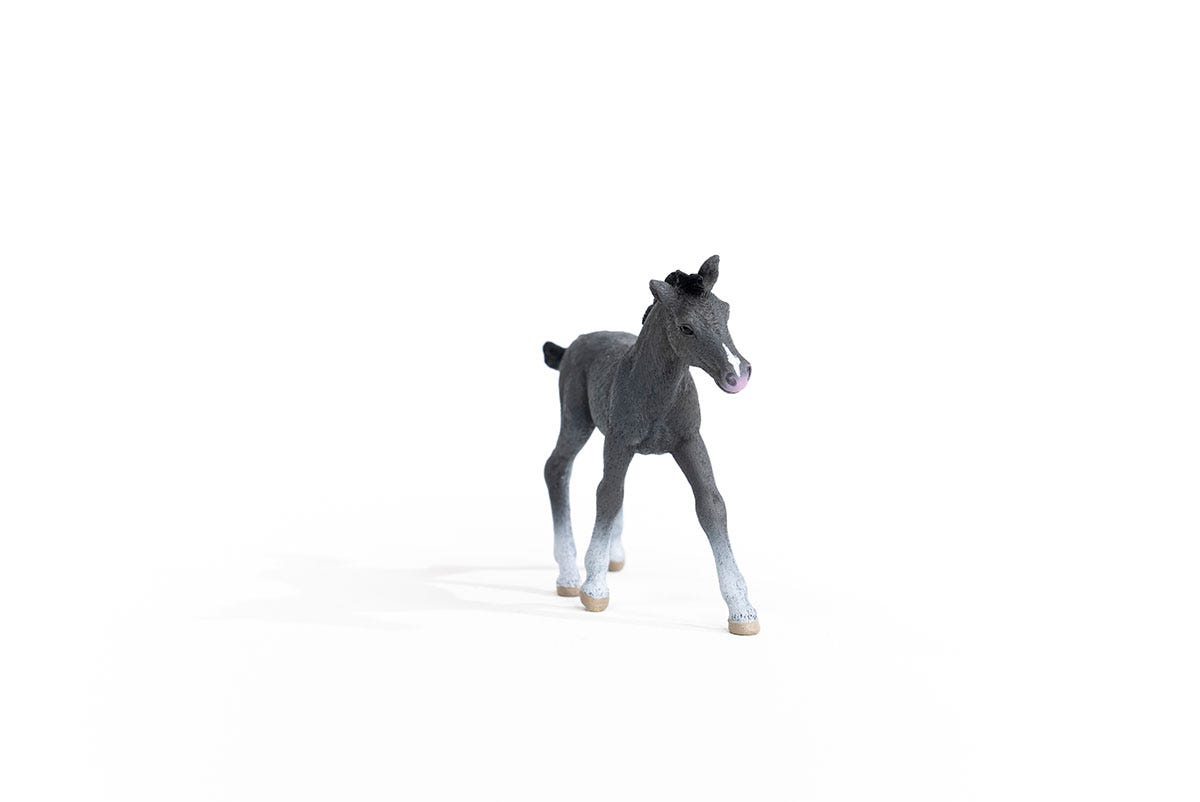 schleich-horse-club-trakehner-fohlen-pferdefigur-schimmel image 4