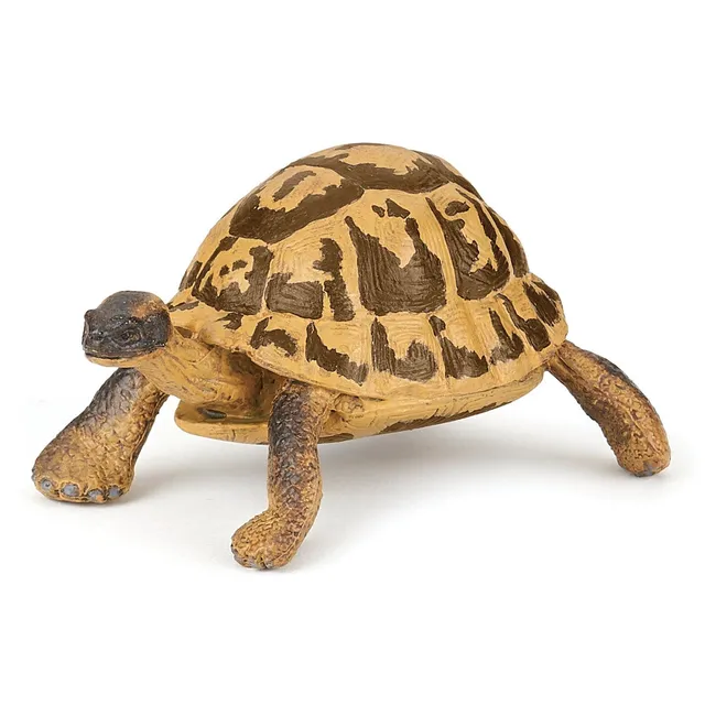 papo-wildlife-hermanns-schildkr-te-figur-reptil image 1