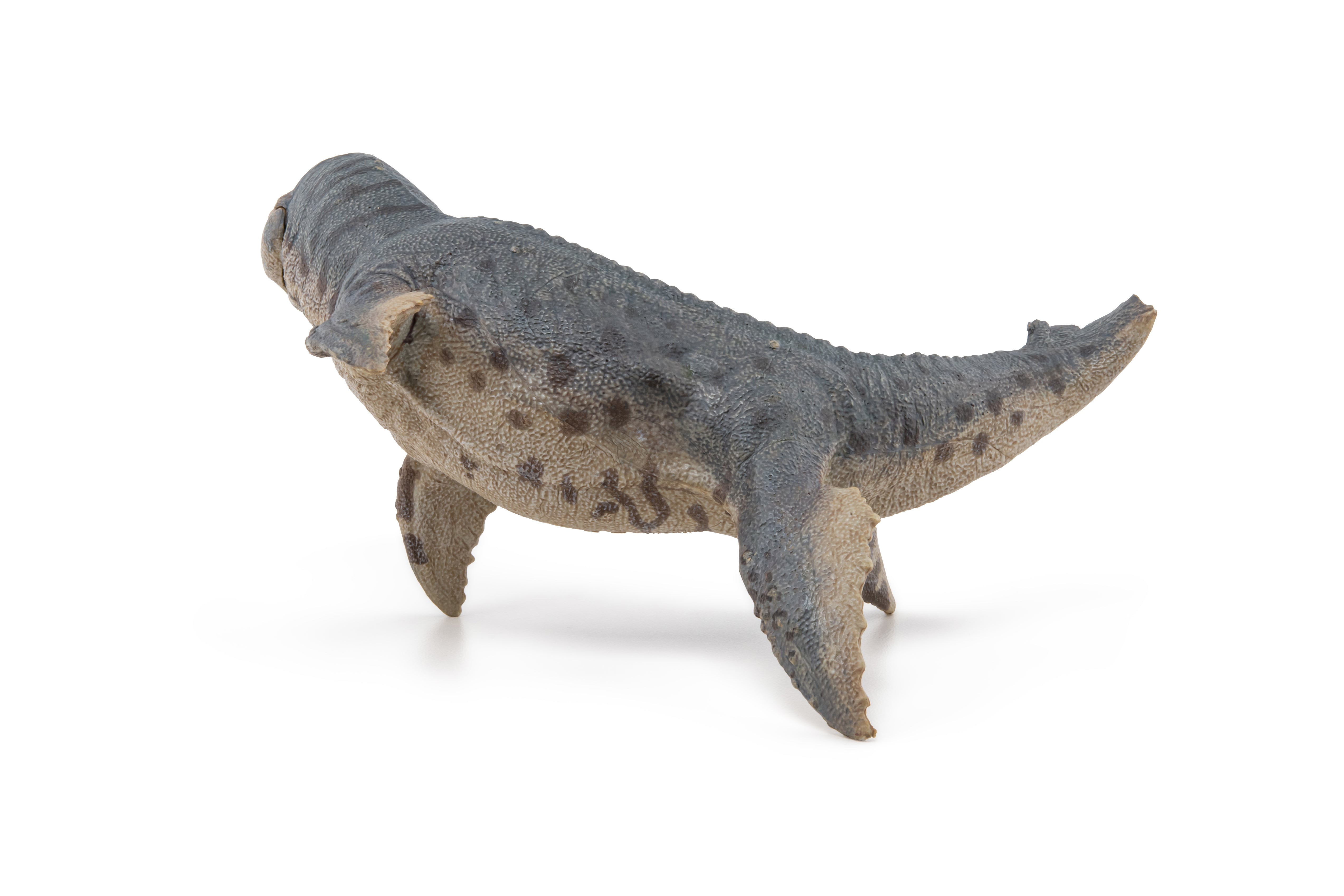 papo-dinosaurs-kronosaurus-figur-meeresreptil image 7