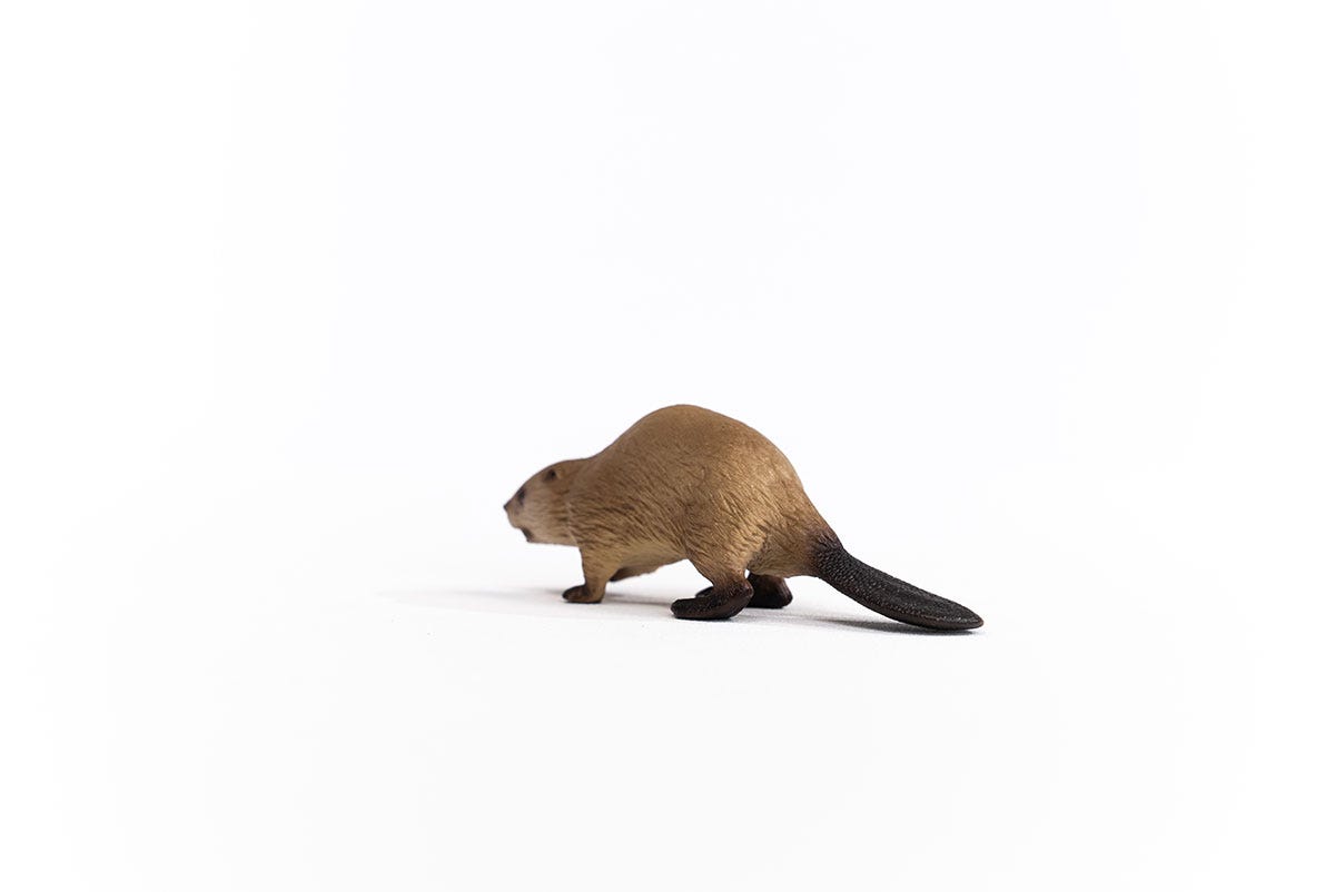 schleich-wild-life-biber-14855-tierfigur-waldtier image 2