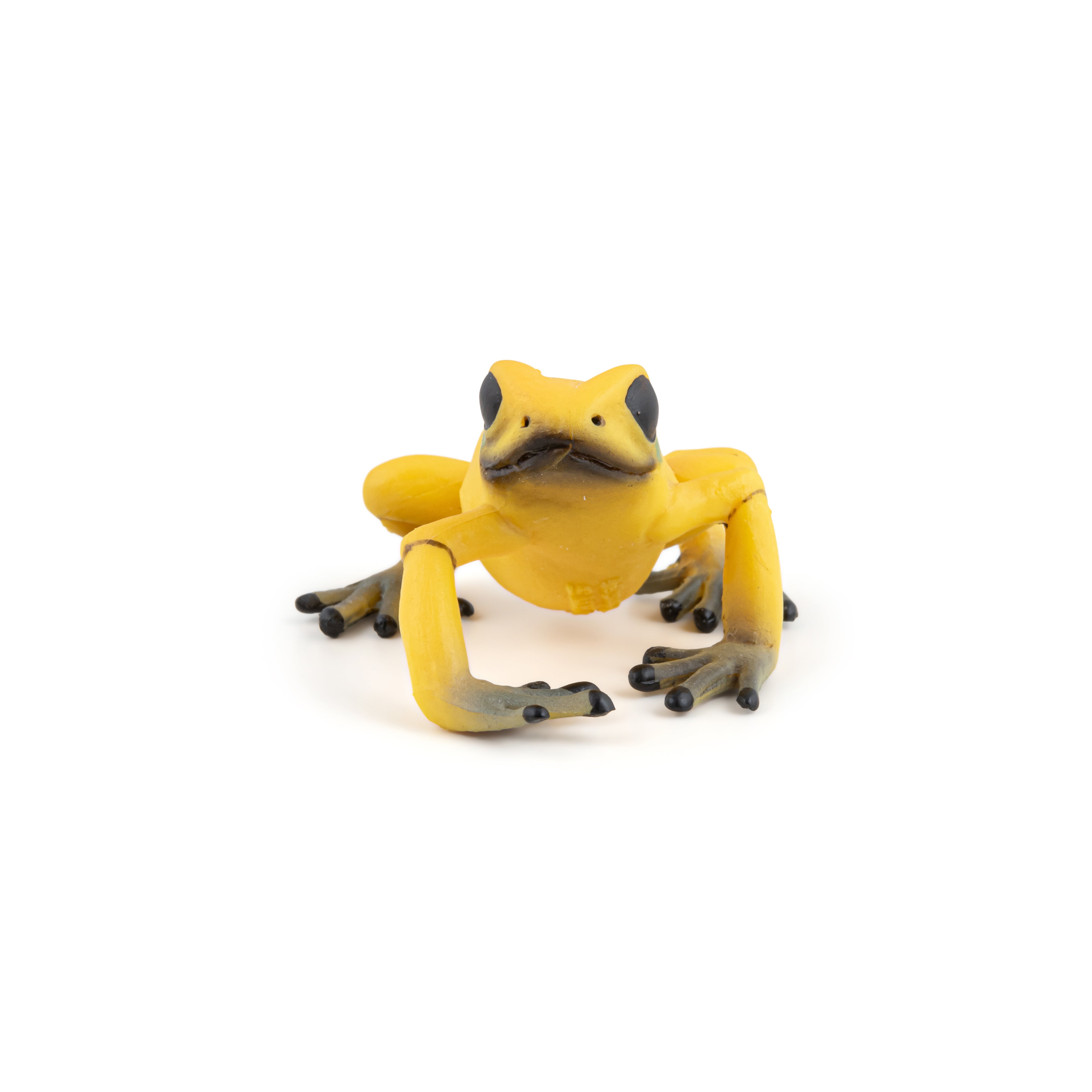 papo-wildlife-gelber-quatorialfrosch-figur-giftig-gelb image 3