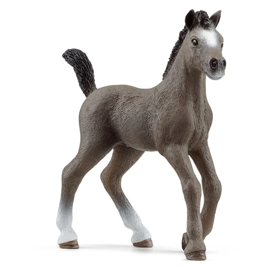schleich-horse-club-selle-fran-ais-fohlen-pferdefigur image 1