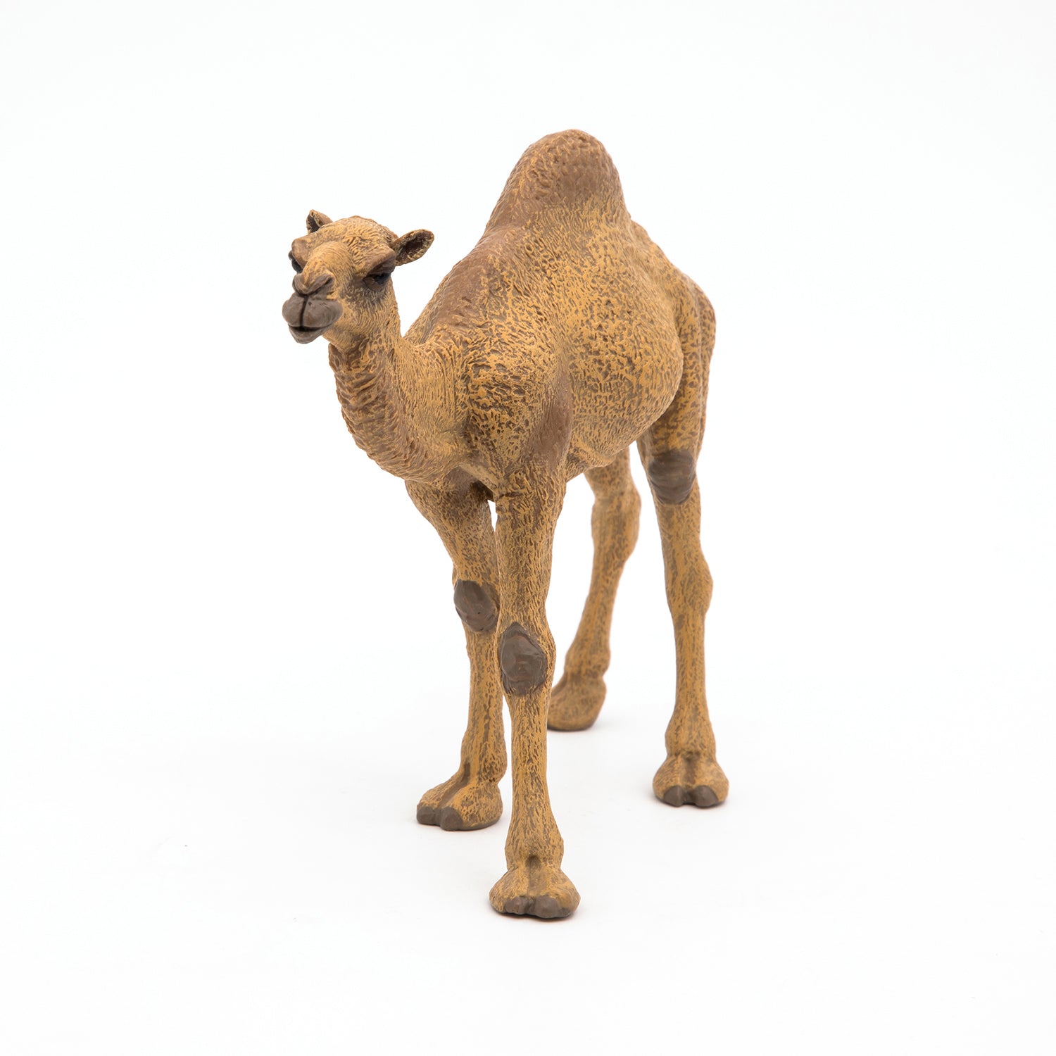 papo-wildlife-dromedar-tierfigur-w-stentier image 2