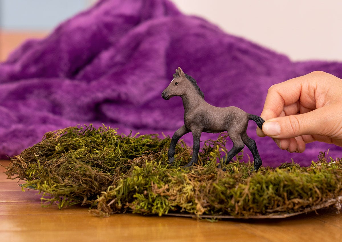 schleich-horse-club-paso-peruano-fohlen-pferd-13954 image 2