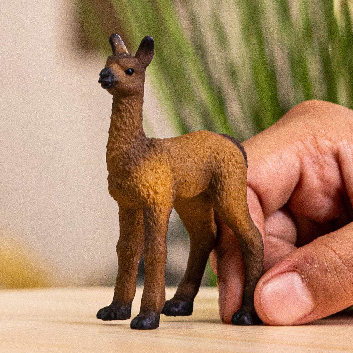 schleich-farm-world-lama-fohlen-figur-14890 image 2